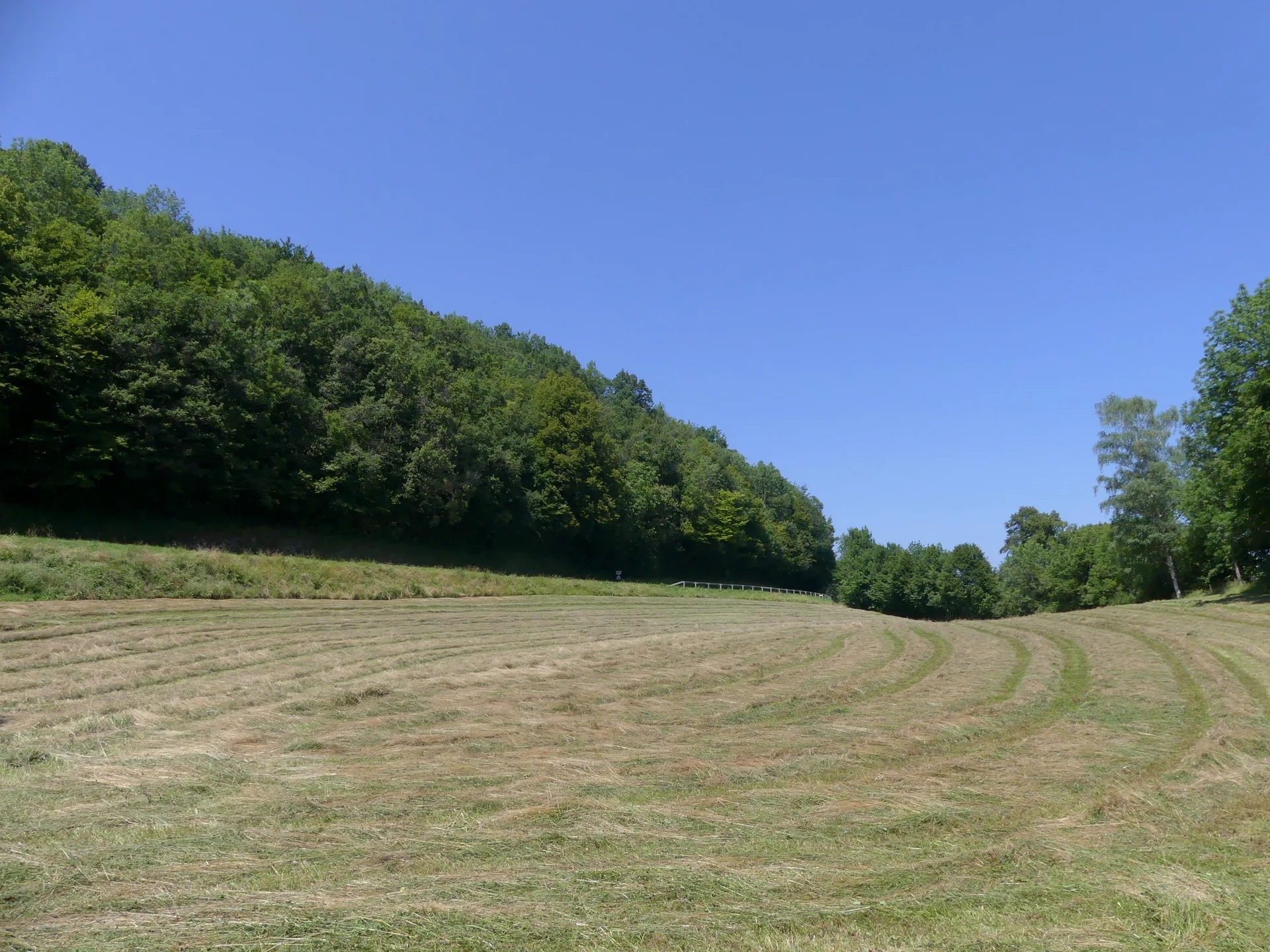 Lac de Chevelu à Saint-Jean-de-Chevelu — À 2,4 km du lac