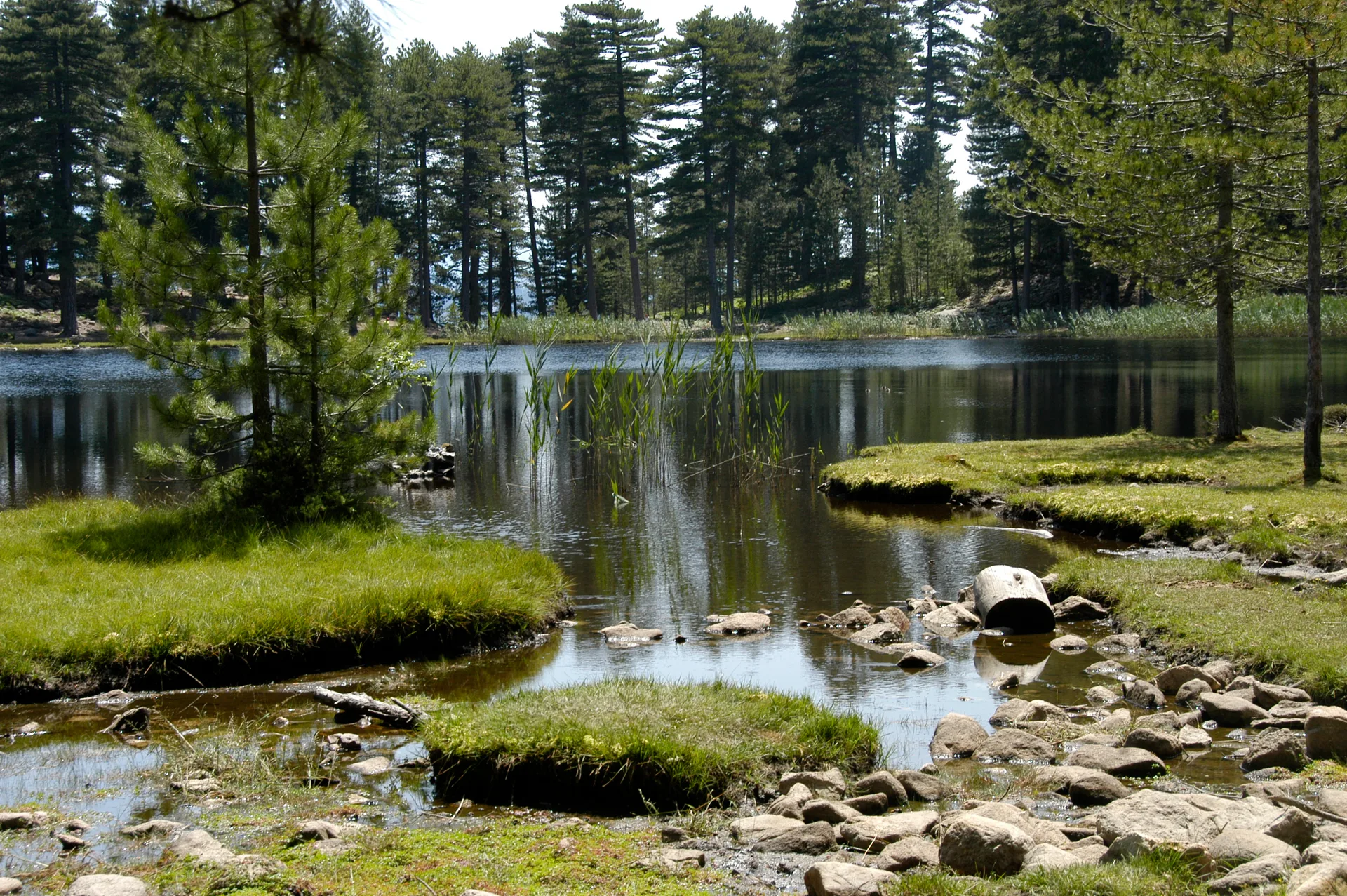 Lac de Crena à Orto — À 635 m du lac