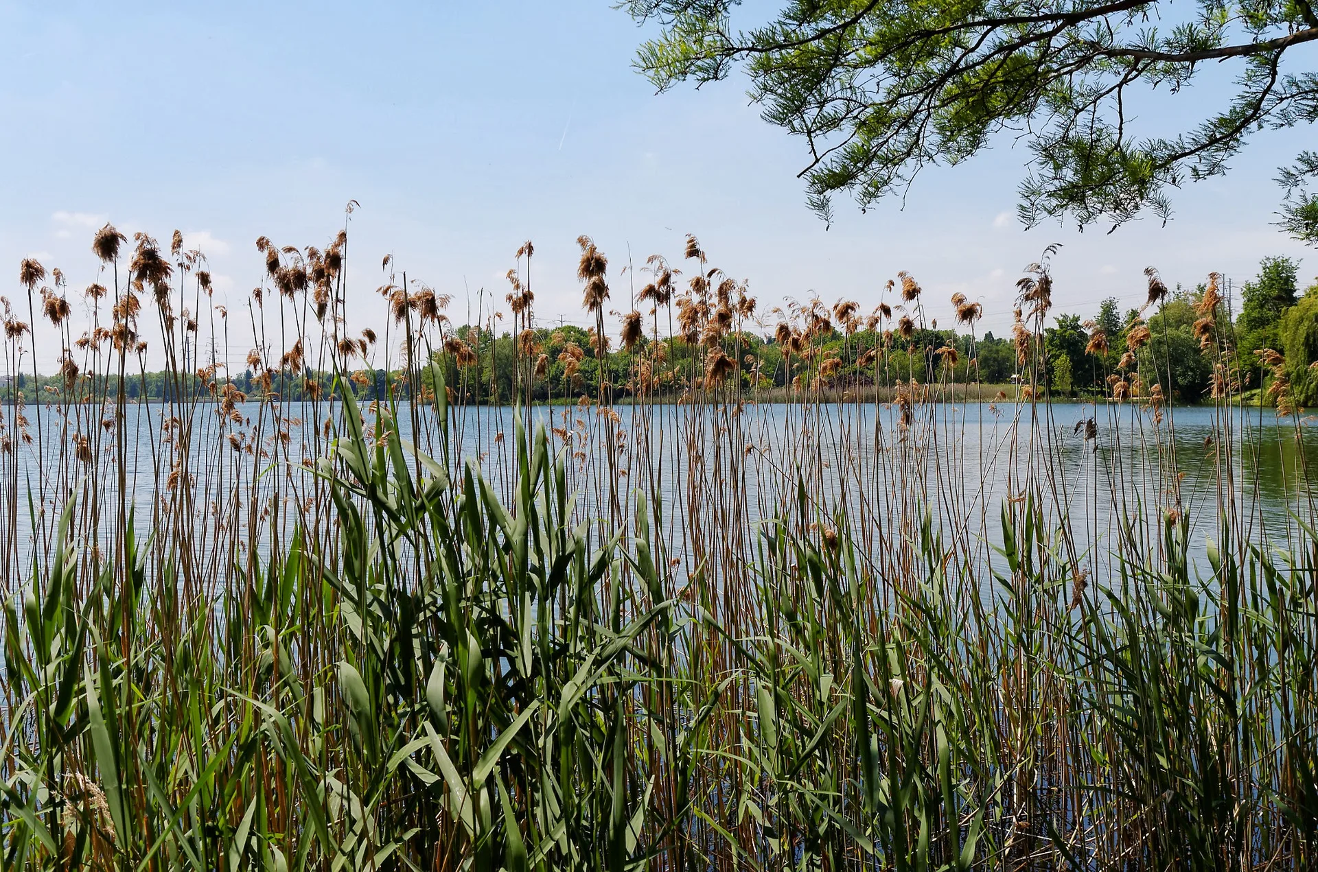 Lac de Créteil à Créteil — À 371 m du lac