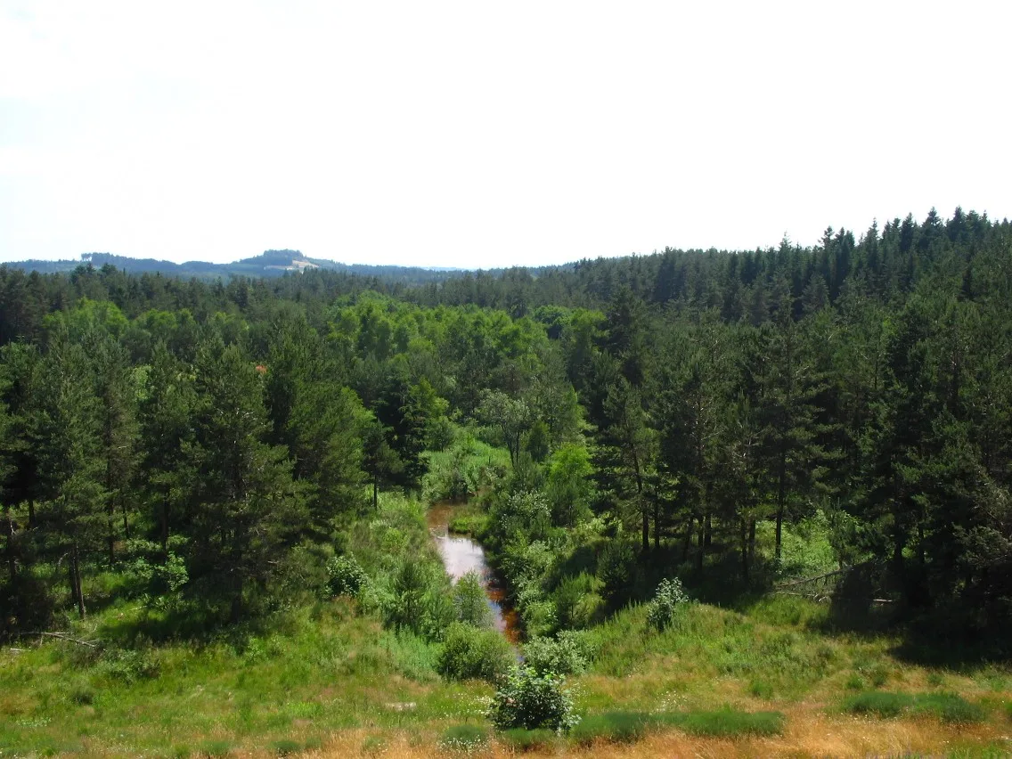 Lac de Devesset à Devesset — À 539 m du lac