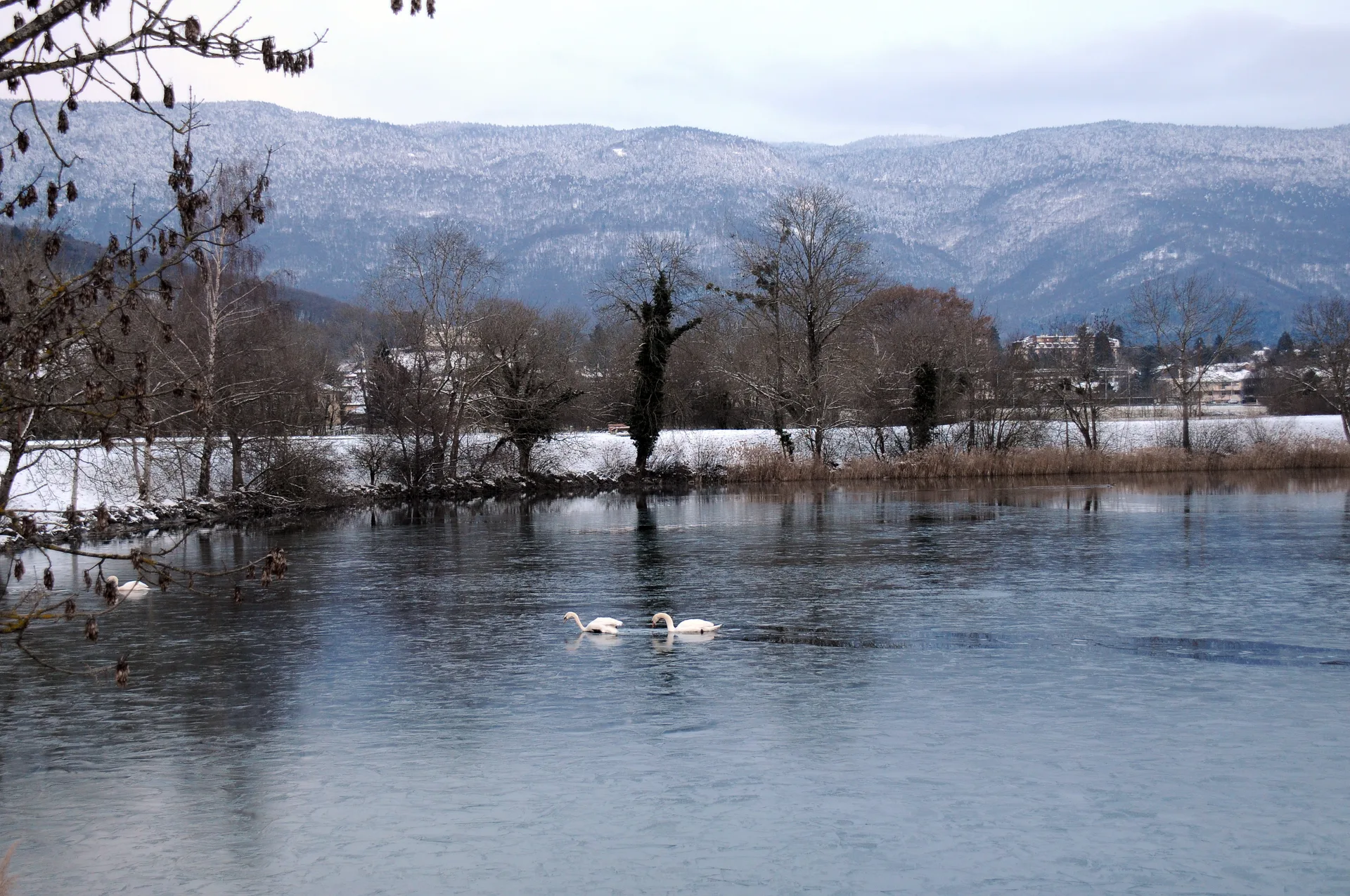 Lac de Divonne à Divonne-les-Bains — À 759 m du lac