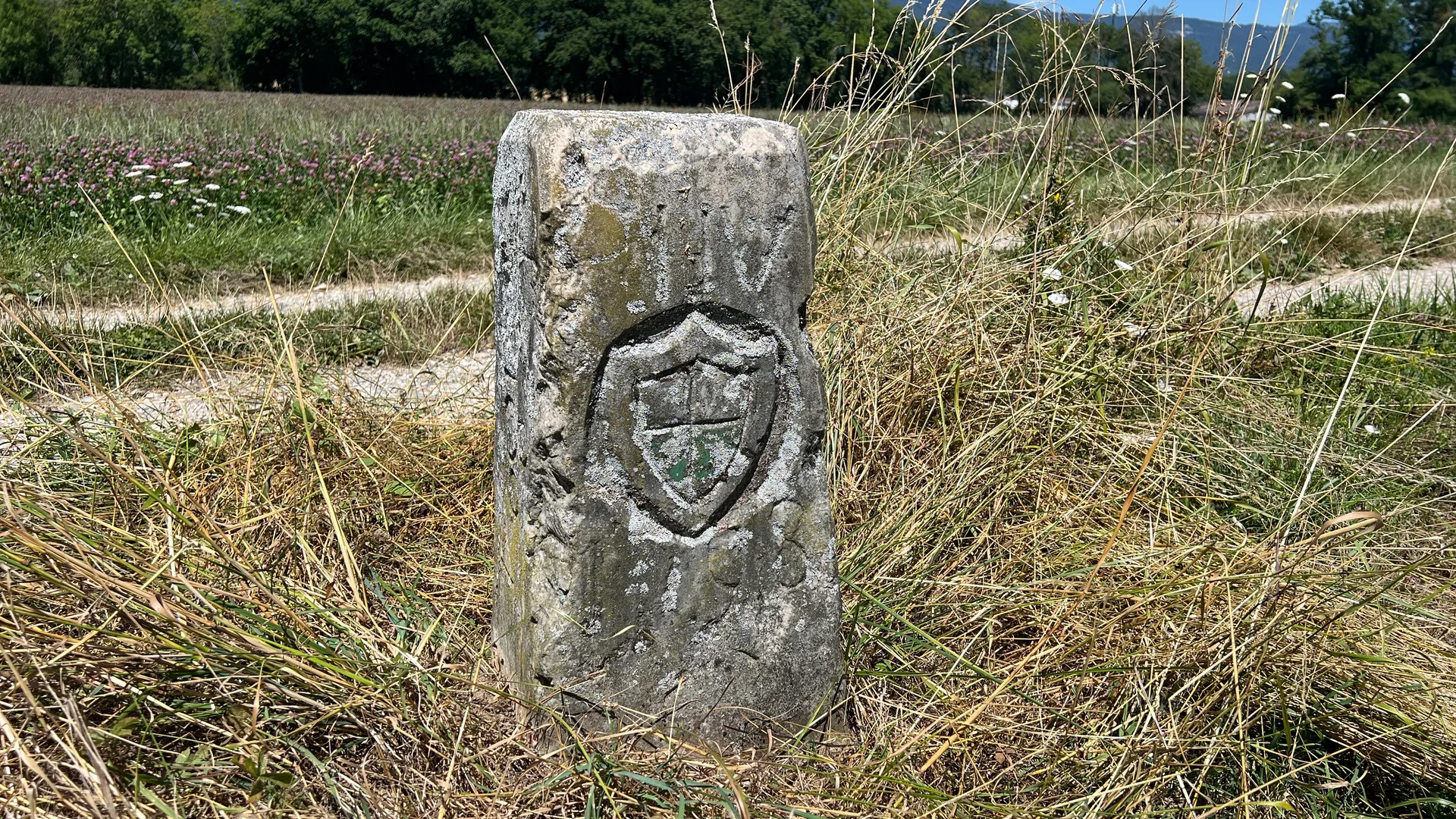 Lac de Divonne à Divonne-les-Bains — À 1,7 km du lac
