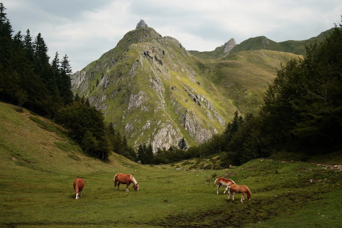 Lac de Fabreges à Laruns — À 3,0 km du lac