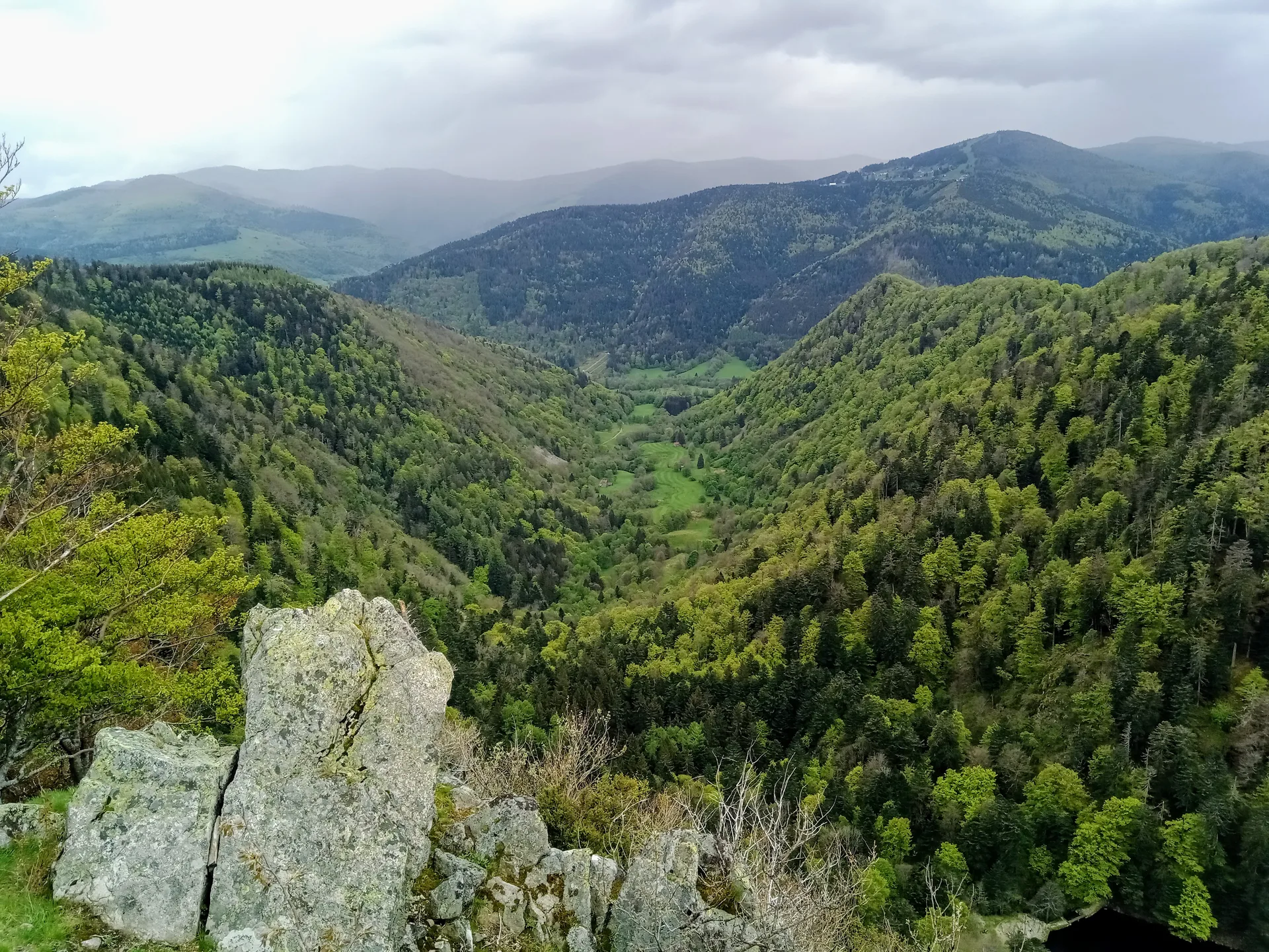 Lac de Fischboedle à Metzeral — À 286 m du lac