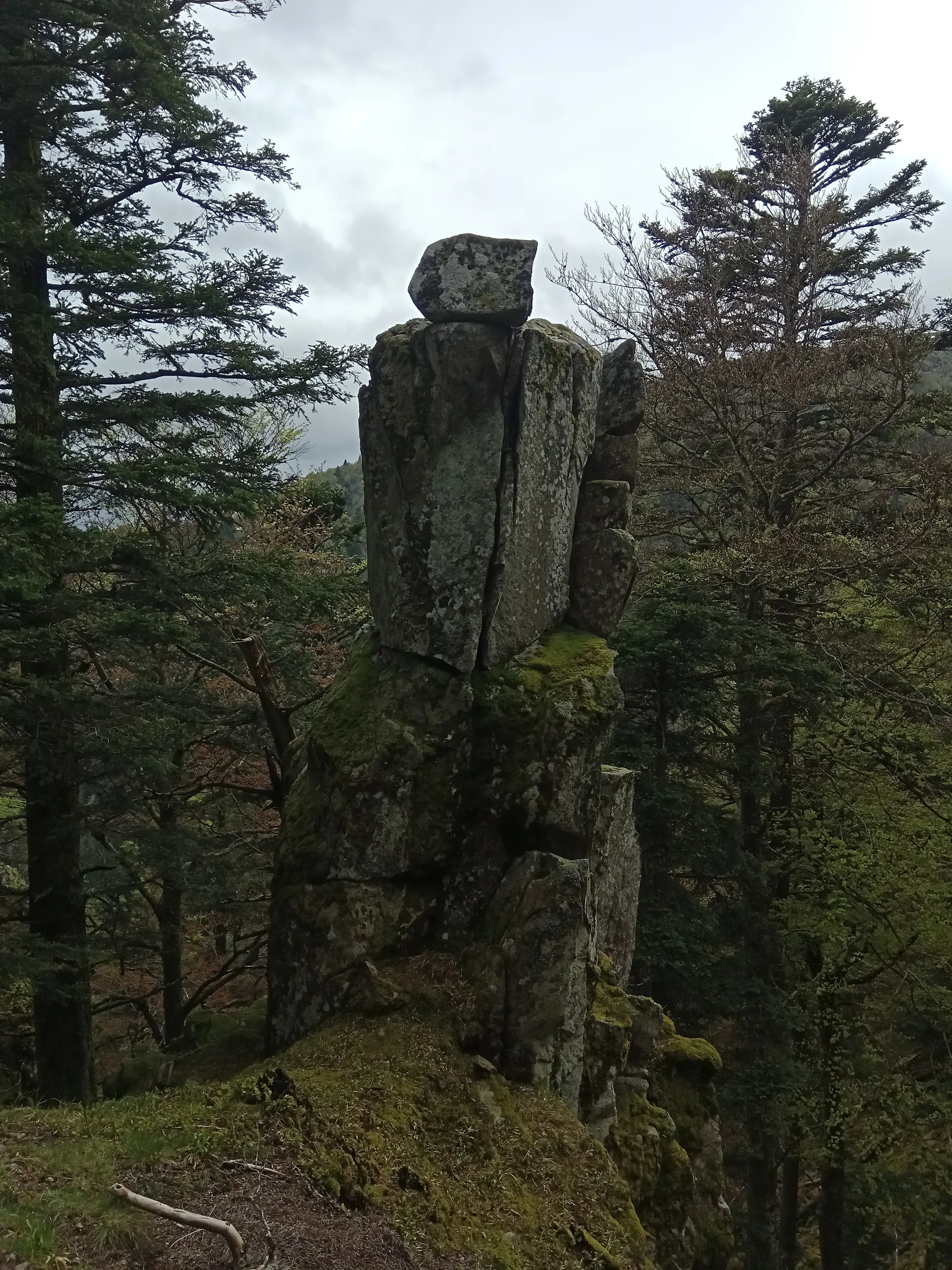 Lac de Fischboedle à Metzeral — À 329 m du lac