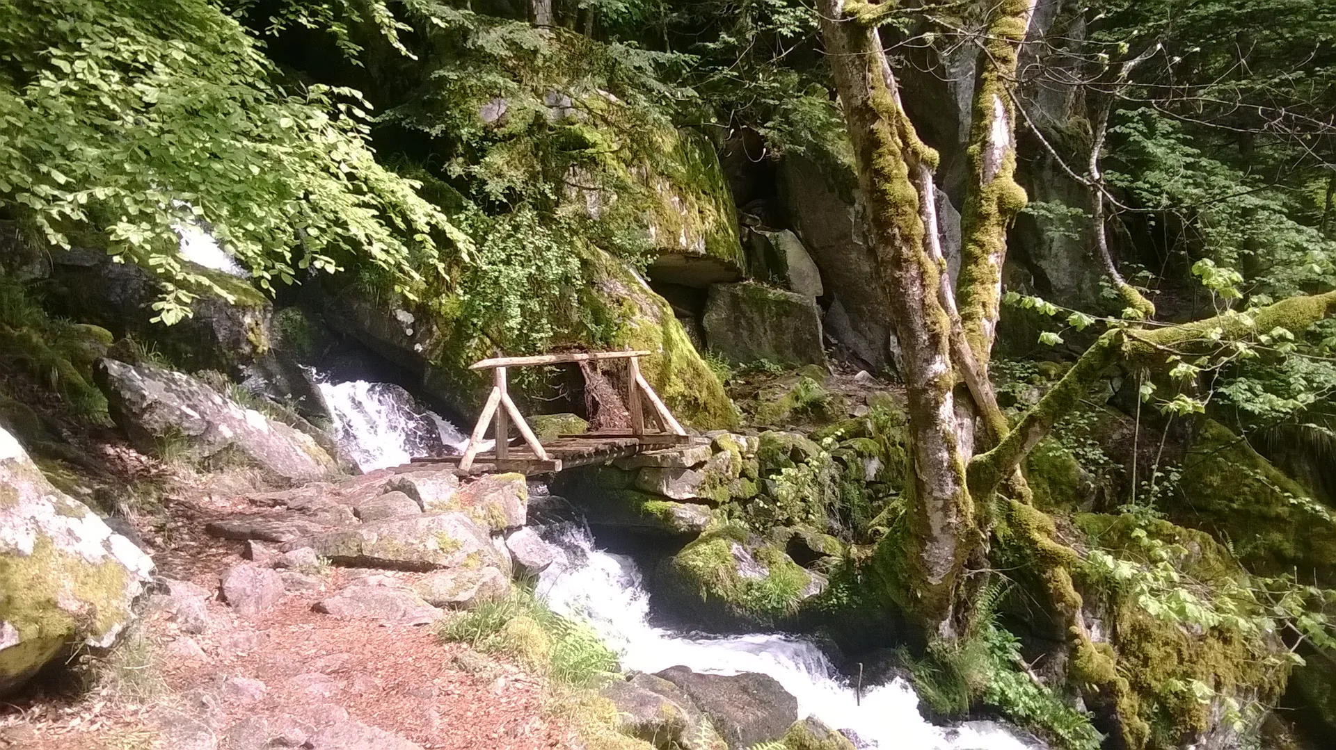 Lac de Fischboedle à Metzeral — À 383 m du lac