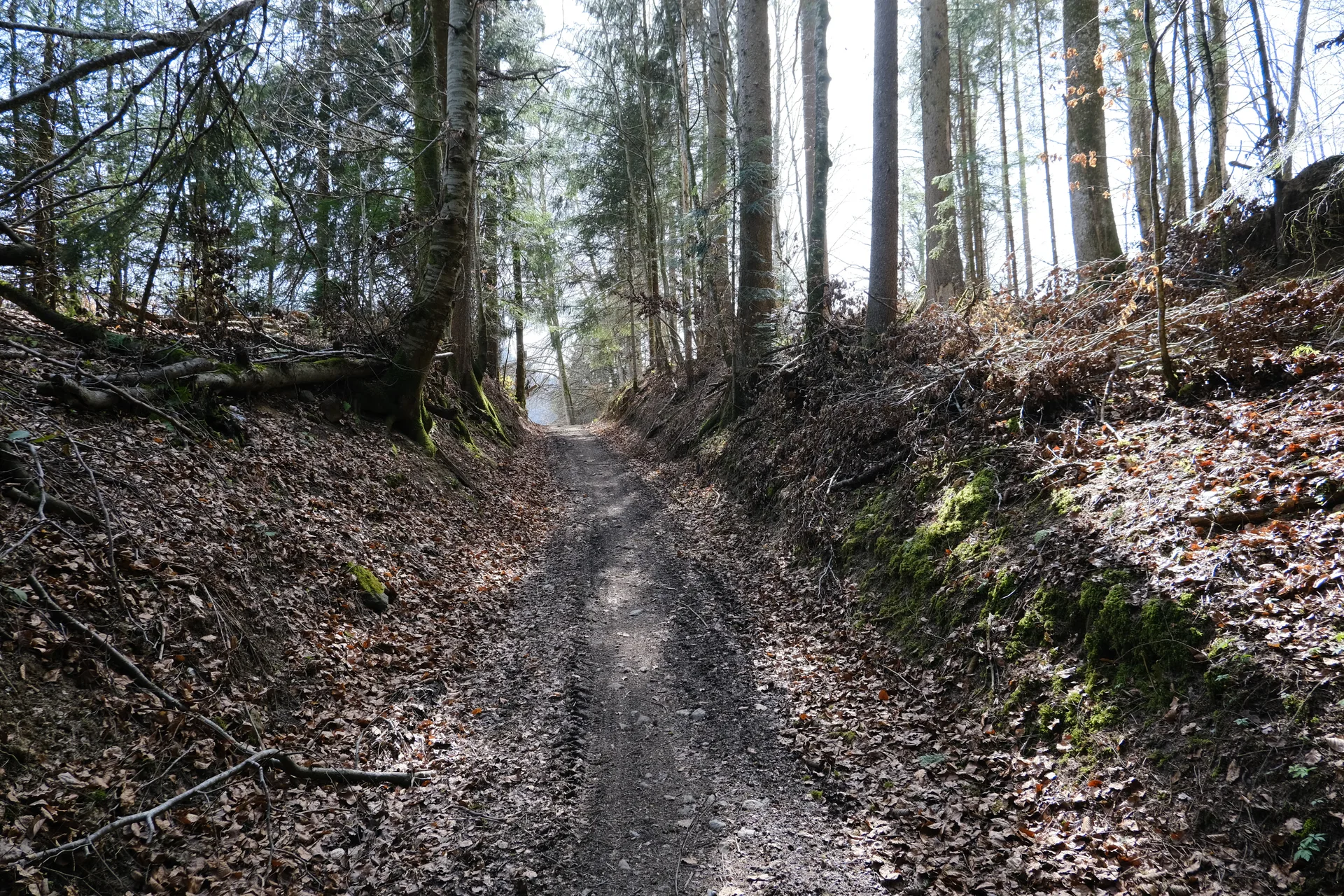 Lac de Flerier à Taninges — À 1,2 km du lac
