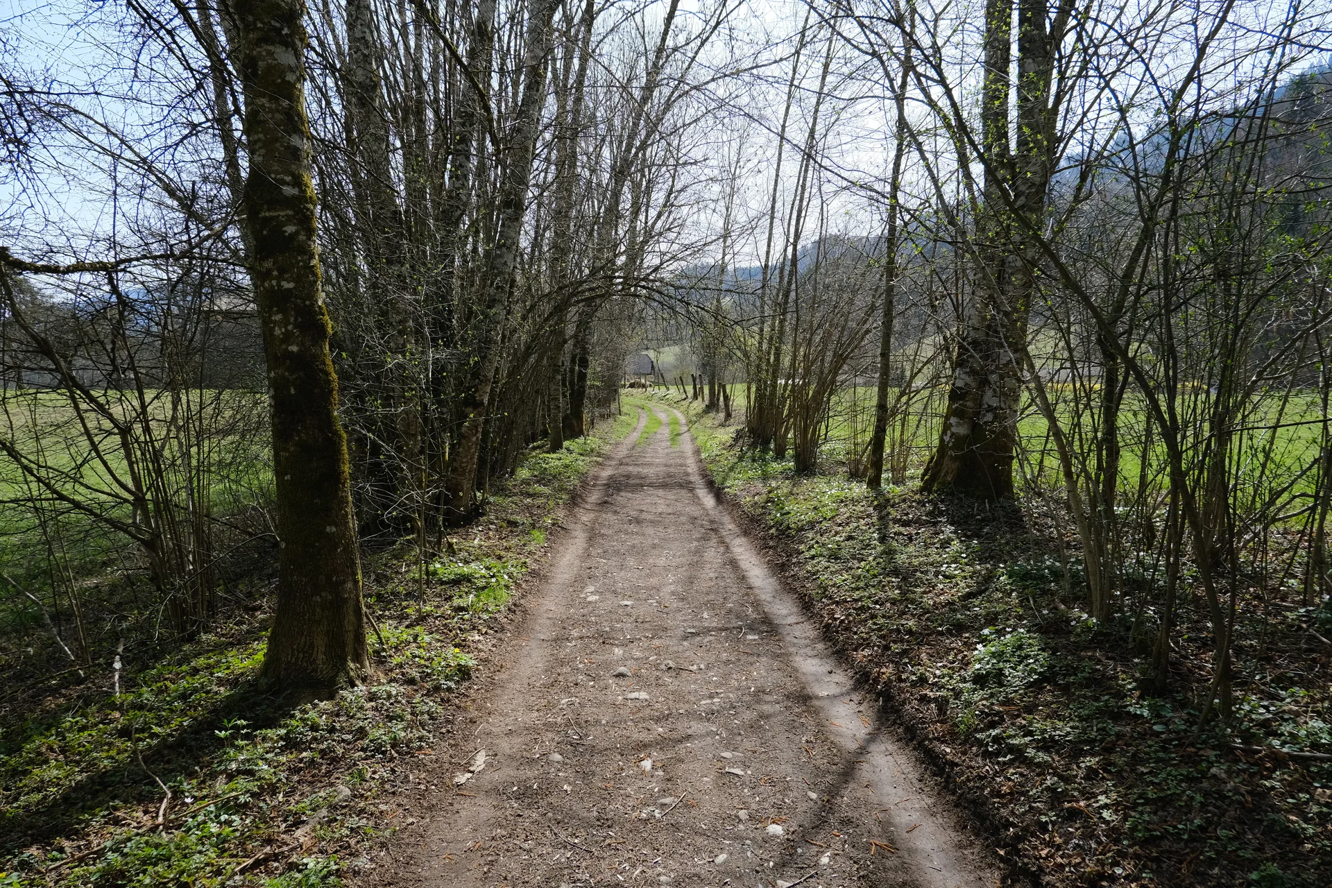 Lac de Flerier à Taninges — À 1,3 km du lac
