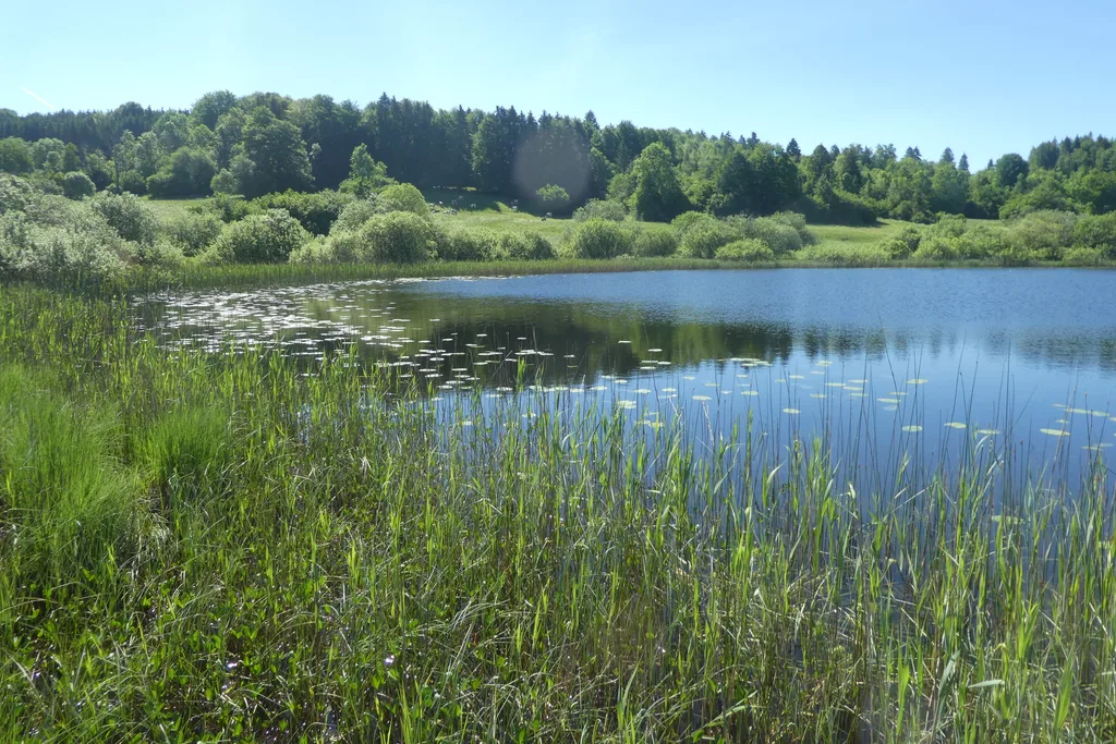 Lac DE Fort du Plasne, Fort-du-Plasne