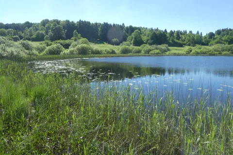 Lac DE Fort du Plasne