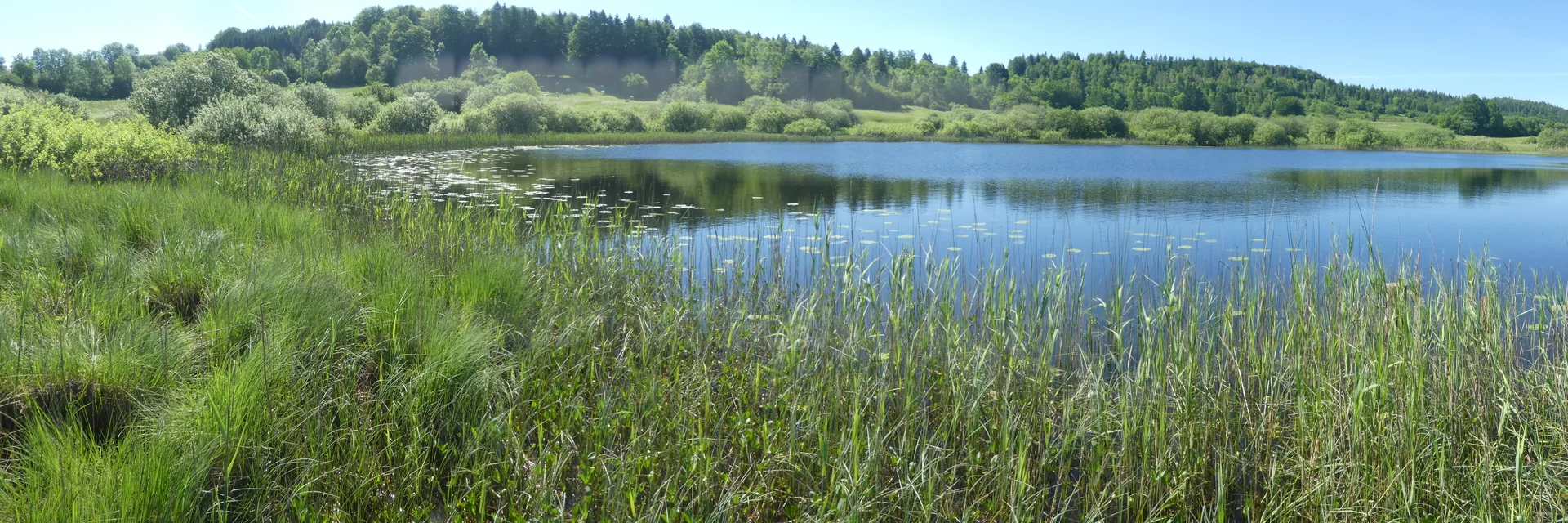 Lac DE Fort du Plasne à Fort-du-Plasne — Sur le lac