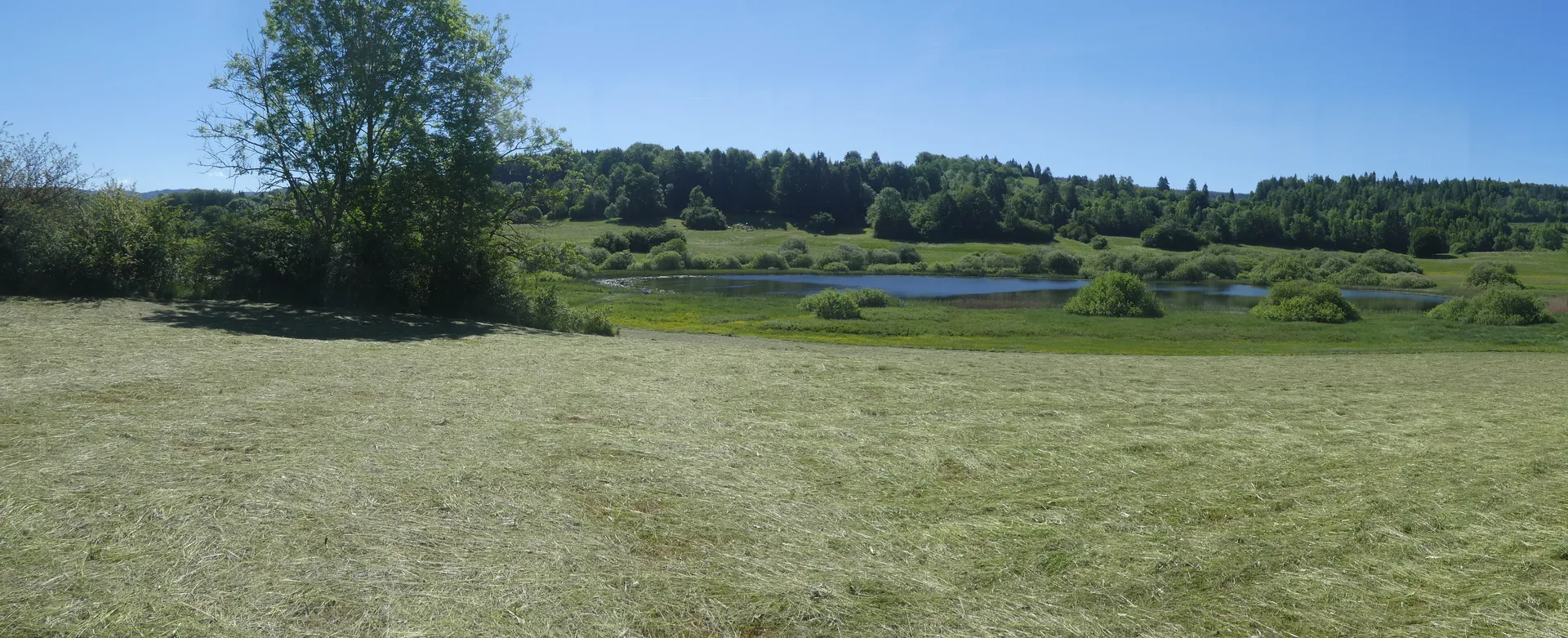 Lac DE Fort du Plasne à Fort-du-Plasne — Sur le lac