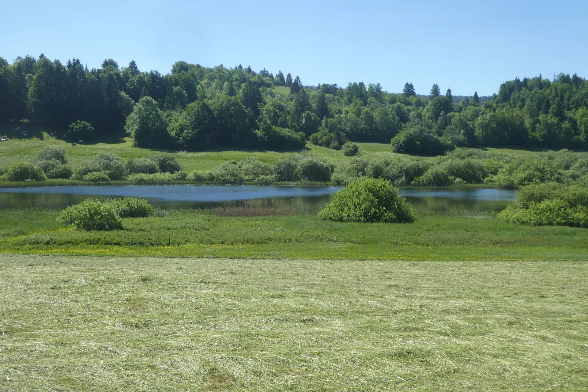 Lac DE Fort du Plasne à Fort-du-Plasne — Sur le lac