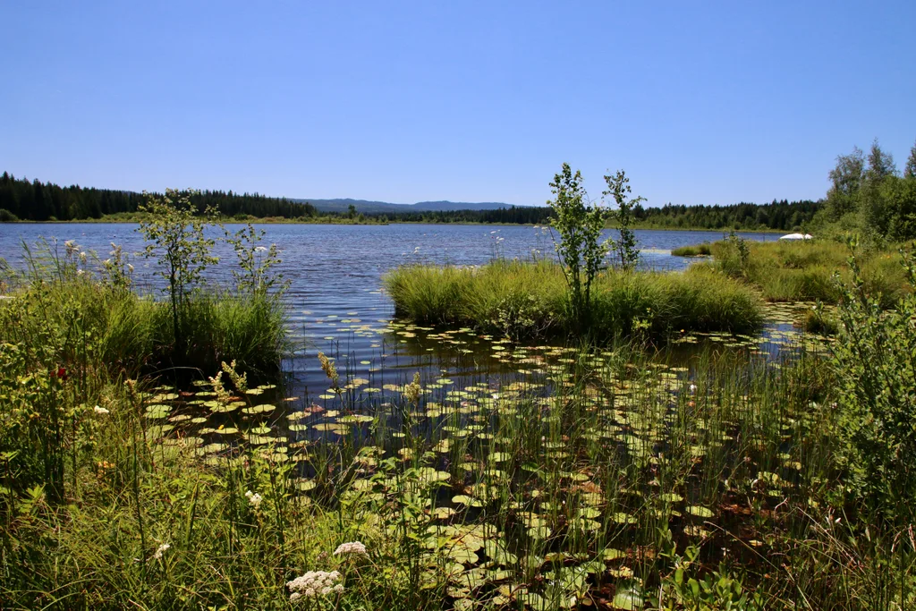 Lac de Frasne, Frasne