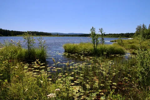 Lac de Frasne