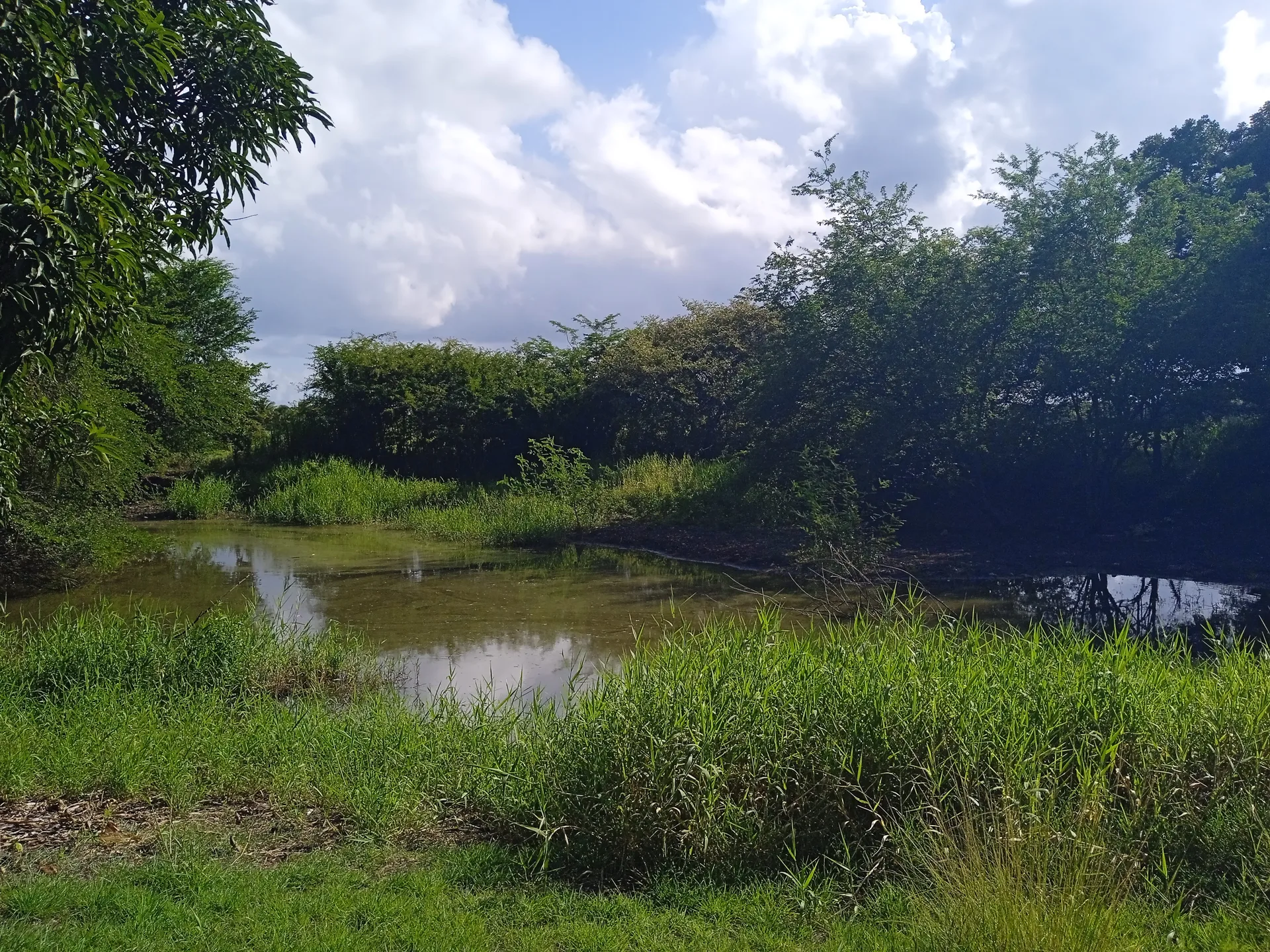 Lac de Gaschet à Port-Louis — À 1,8 km du lac
