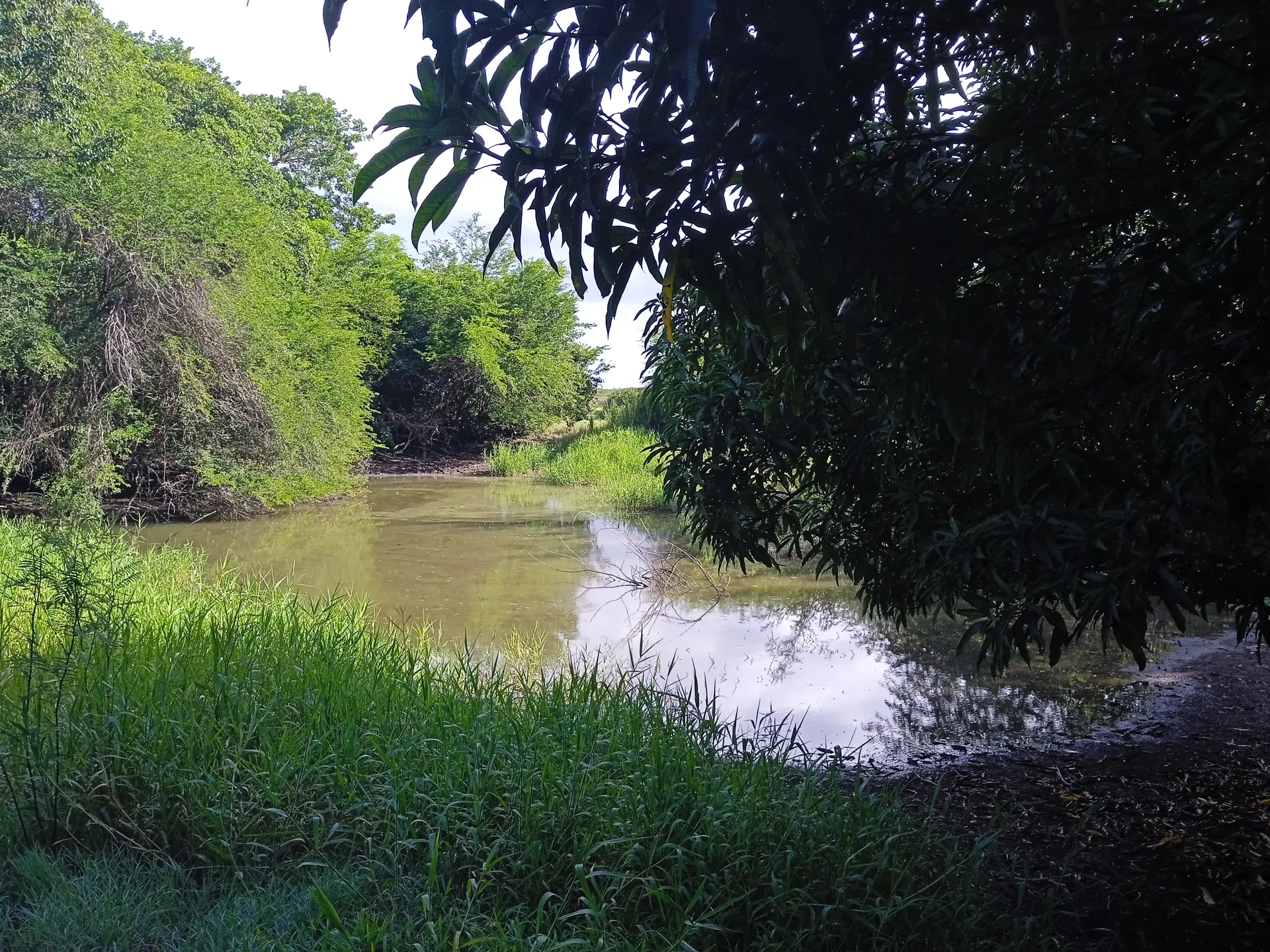Lac de Gaschet à Port-Louis — À 1,8 km du lac