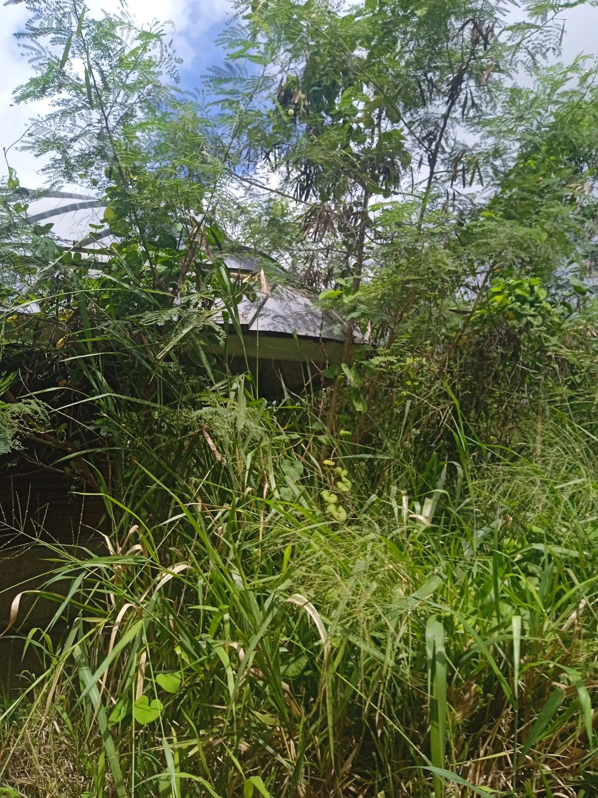 Lac de Gaschet à Port-Louis — À 1,9 km du lac