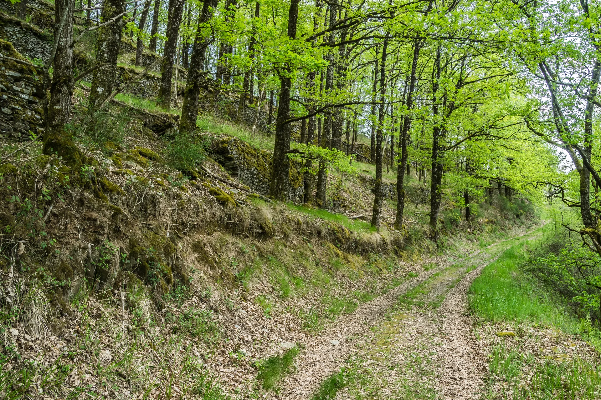 Lac de Golinhac à Estaing — À 1,4 km du lac