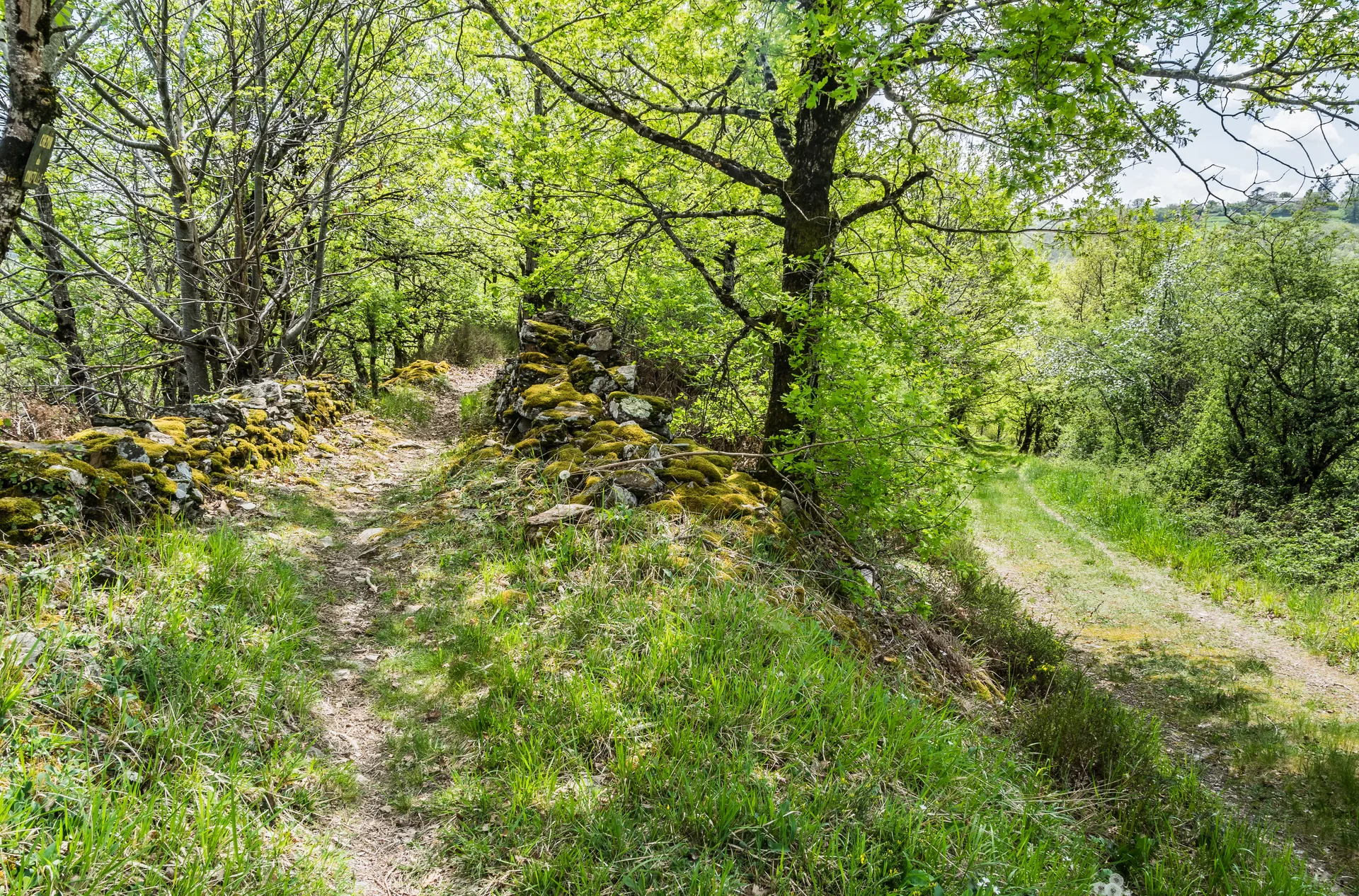 Lac de Golinhac à Estaing — À 1,6 km du lac