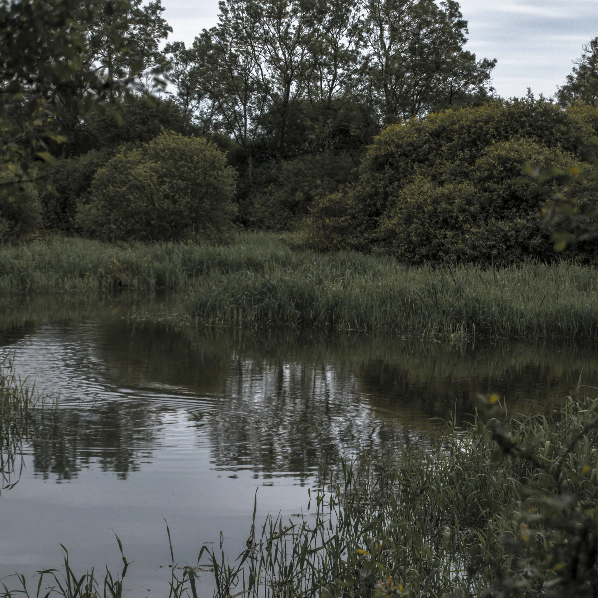 Lac de Grand Lieu à Saint-Philbert-de-Grand-Lieu — À 934 m du lac