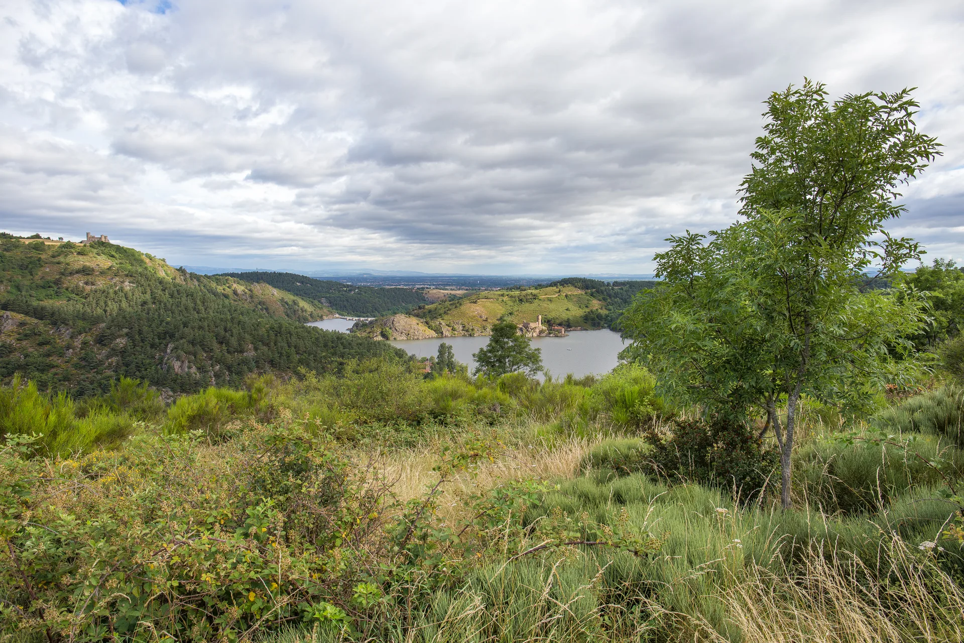 Lac de Grangent à Chambles — À 662 m du lac