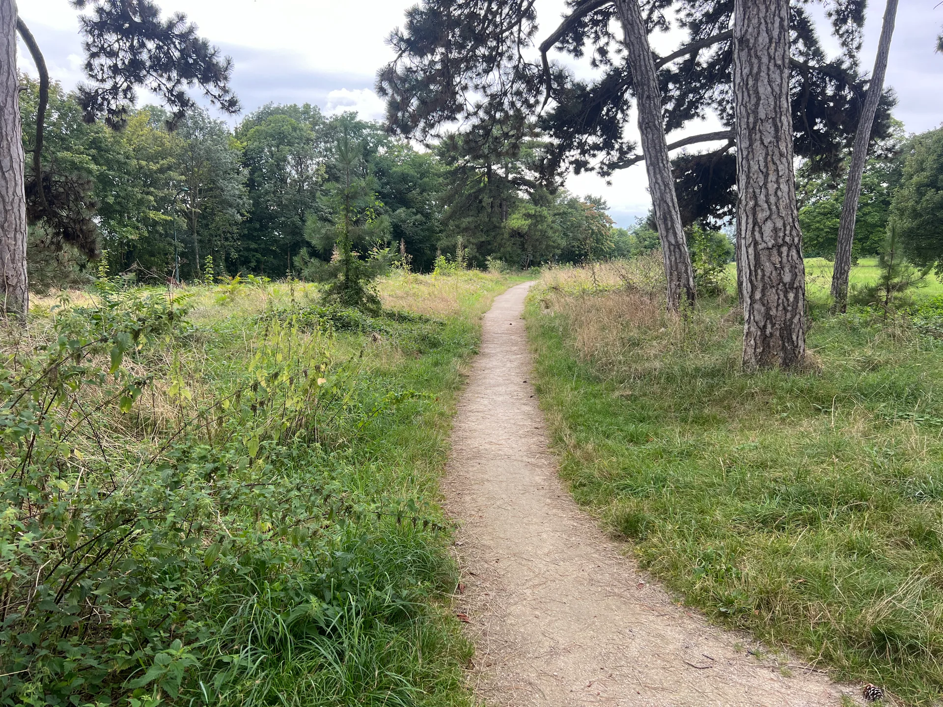Lac de Gravelle à Paris — Sur le lac