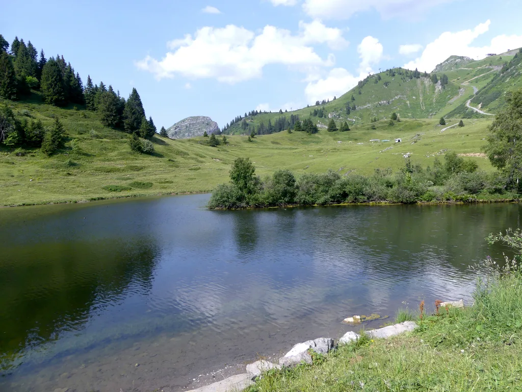 Lac de Joux Plane, Verchaix