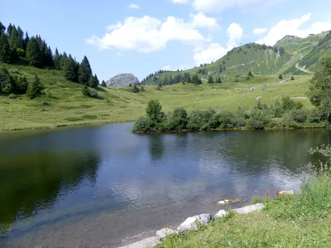 Lac de Joux Plane