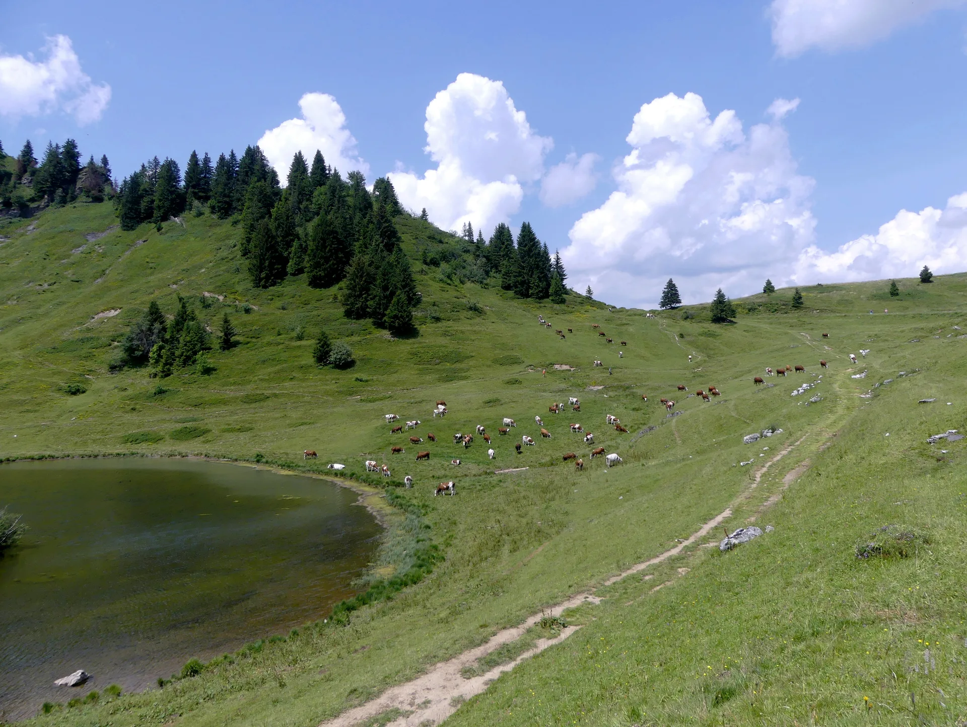 Lac de Joux Plane à Verchaix — Sur le lac