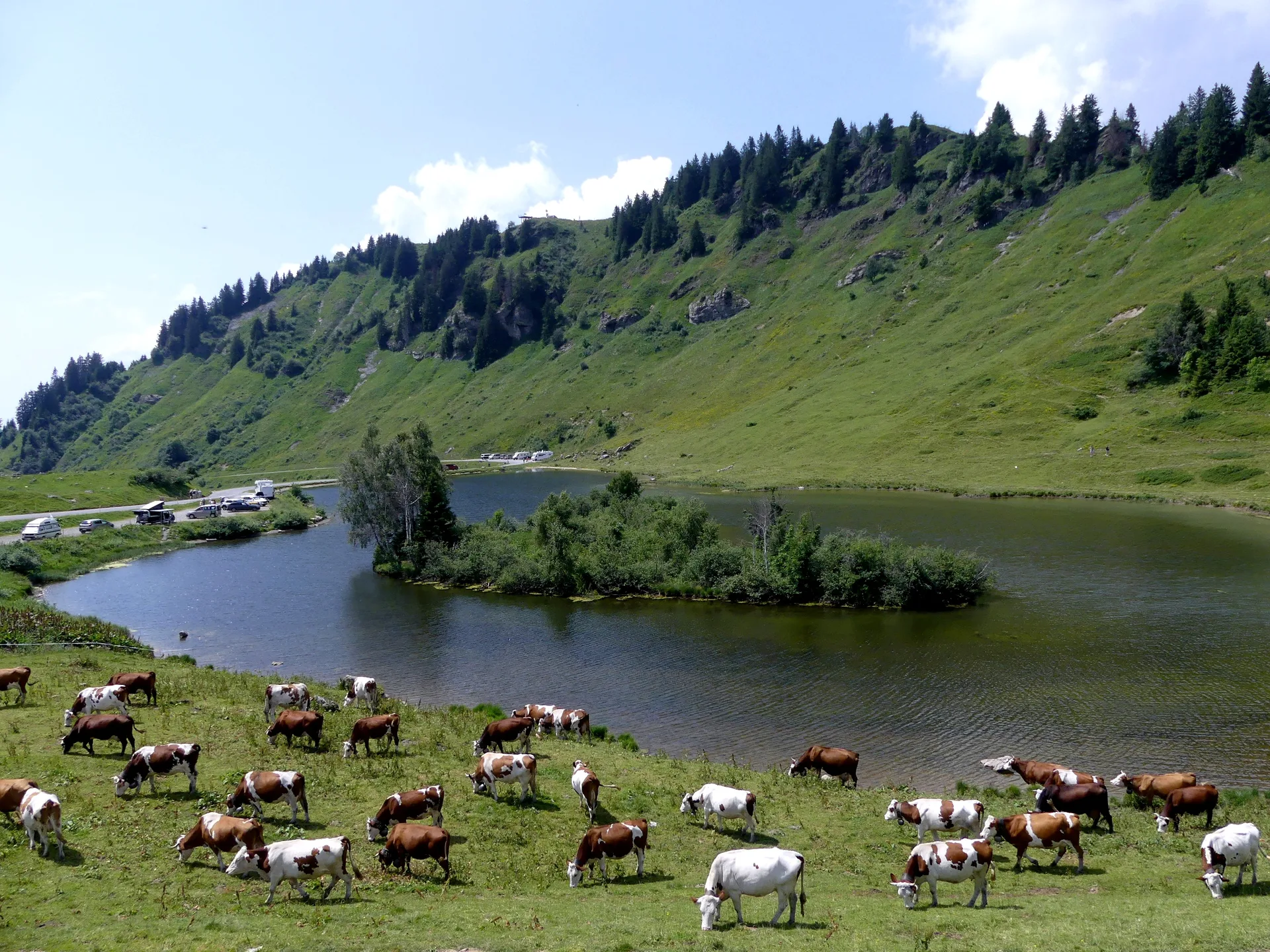 Lac de Joux Plane à Verchaix — Sur le lac