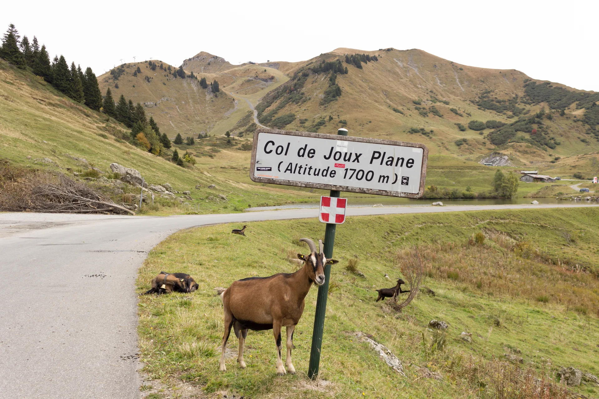 Lac de Joux Plane à Verchaix — À 222 m du lac