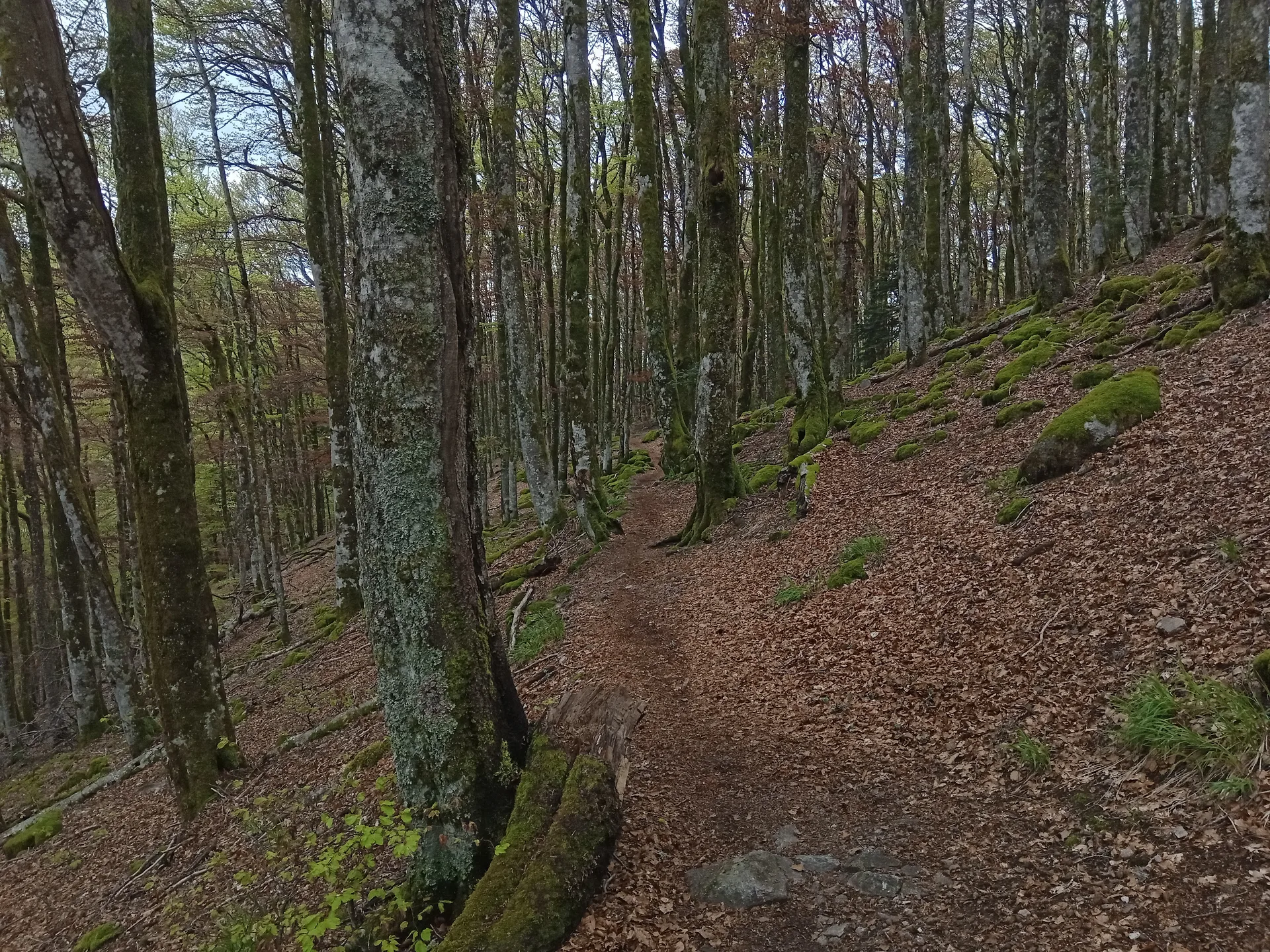 Lac de Kruth à Kruth — À 2,4 km du lac