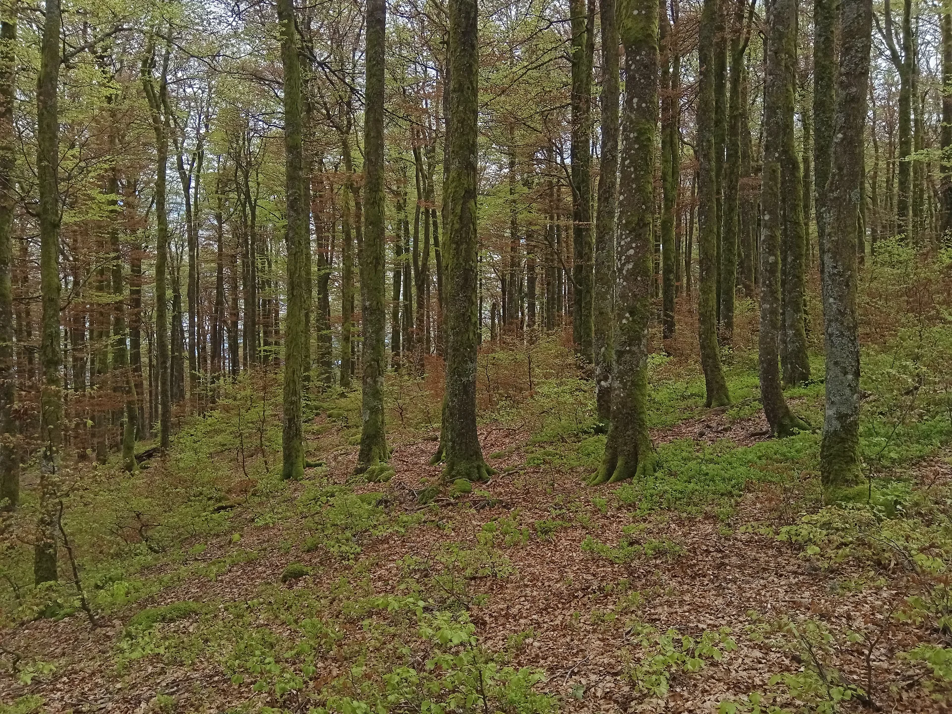 Lac de Kruth à Kruth — À 2,7 km du lac