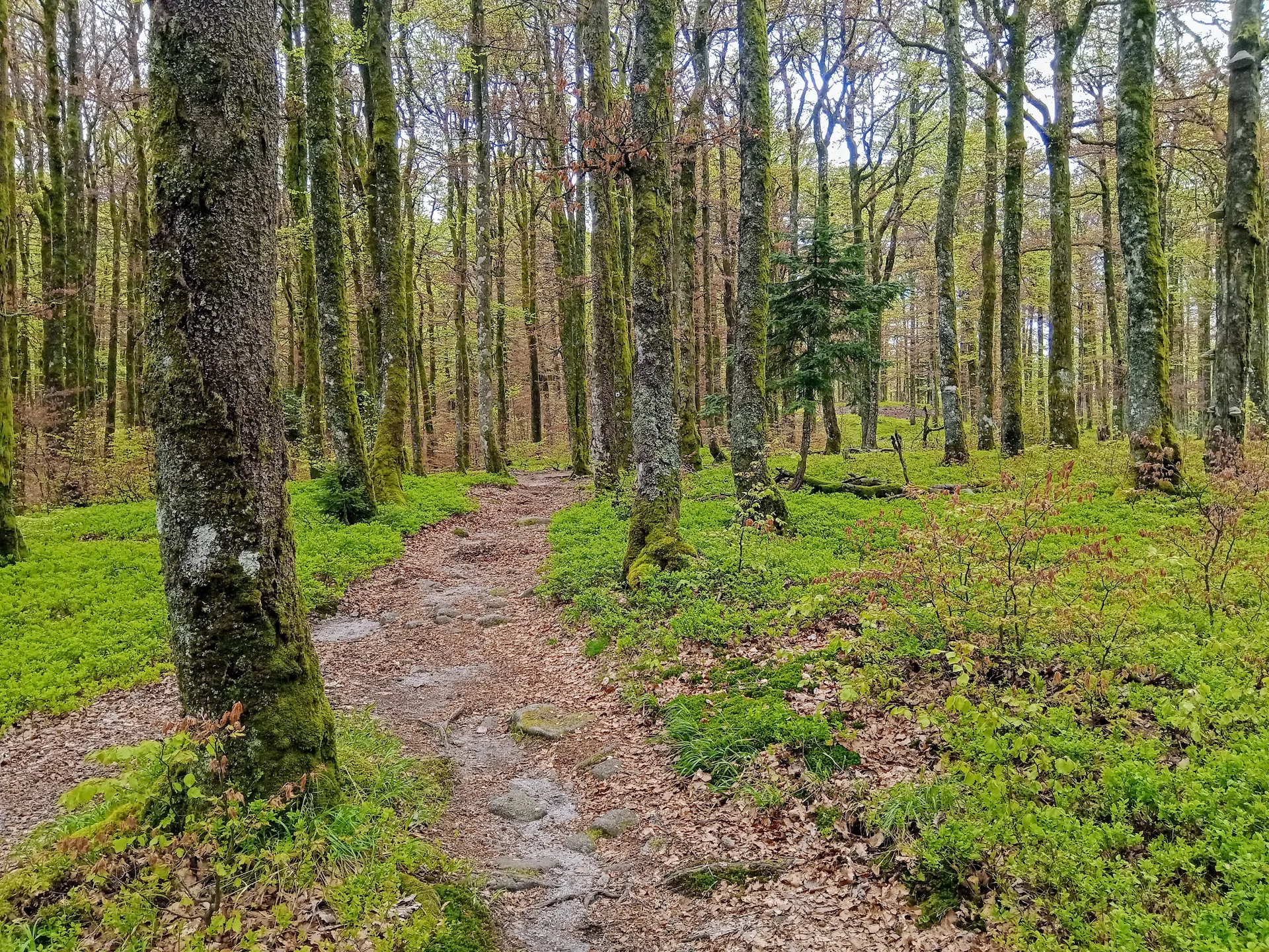 Lac de Kruth à Kruth — À 2,7 km du lac