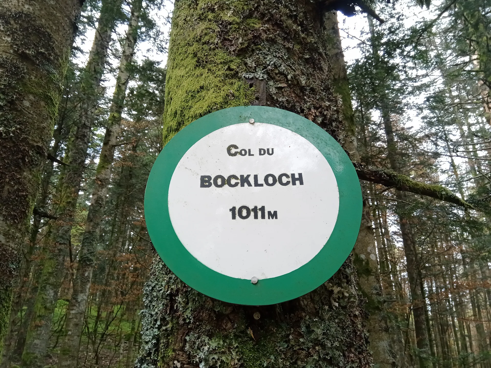 Lac de Kruth à Kruth — À 2,8 km du lac