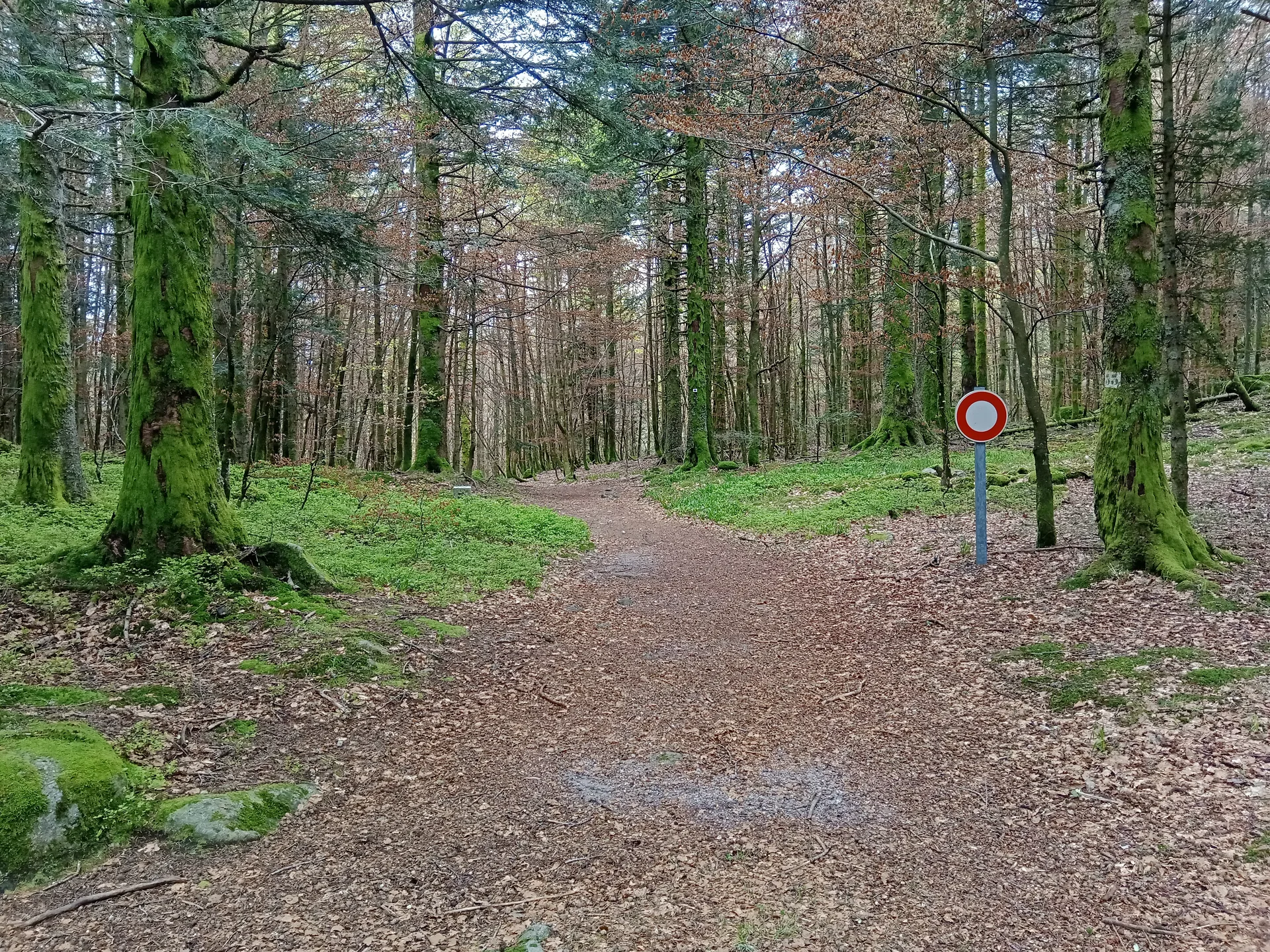 Lac de Kruth à Kruth — À 2,8 km du lac