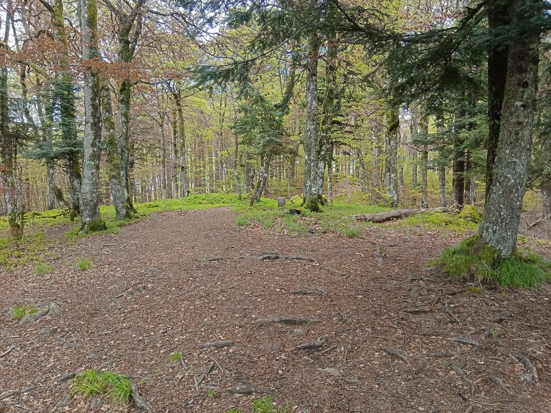 Lac de Kruth à Kruth — À 2,9 km du lac