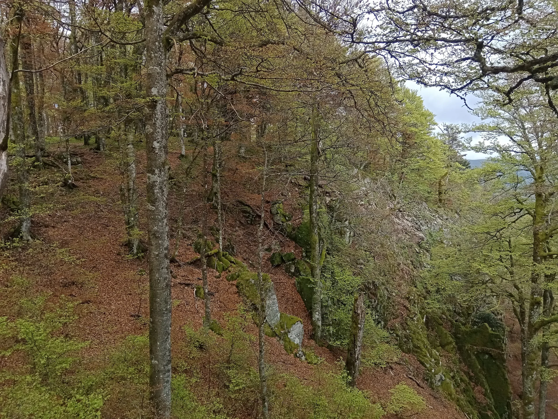 Lac de Kruth à Kruth — À 3,0 km du lac