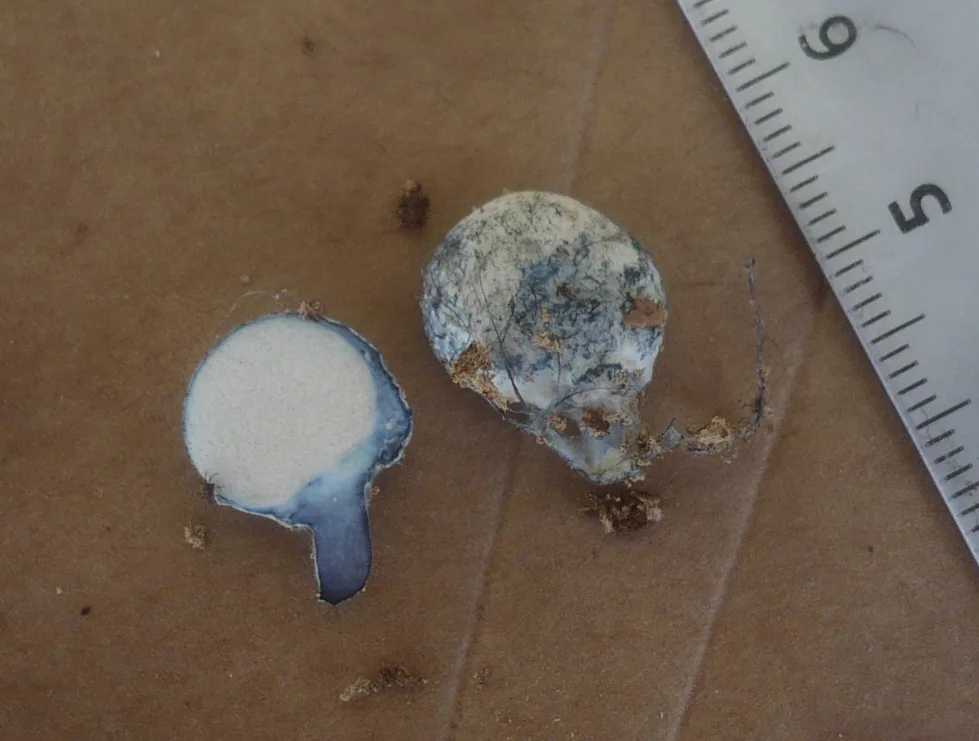 Lac de l'Abbaye à Grande-Rivière Château — À 3,9 km du lac