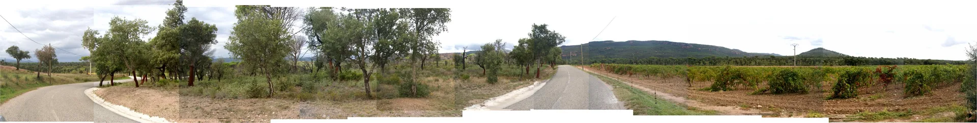 Lac de L Endre à Le Muy — À 2,2 km du lac