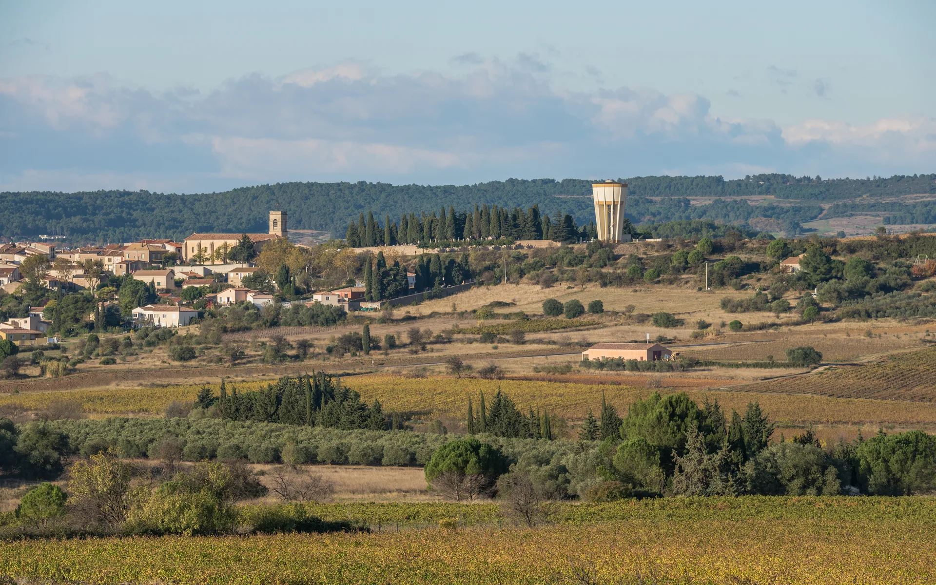 Lac de l'Olivet à Villeveyrac — À 2,3 km du lac