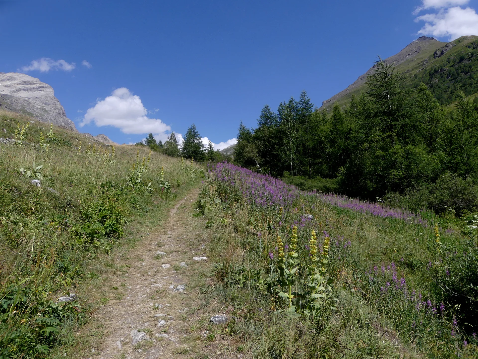Lac de la Bailletta à Val-d'Isère — À 1,7 km du lac