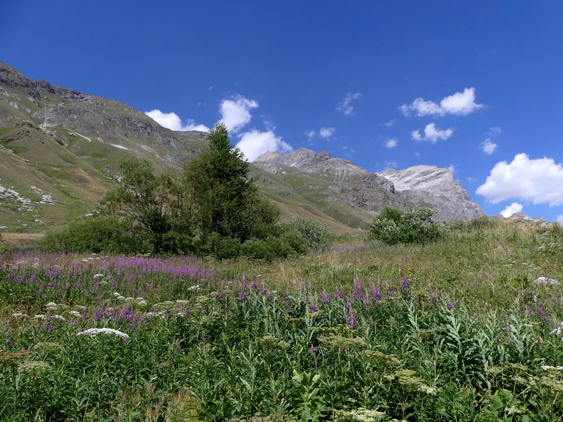 Lac de la Bailletta à Val-d'Isère — À 1,6 km du lac