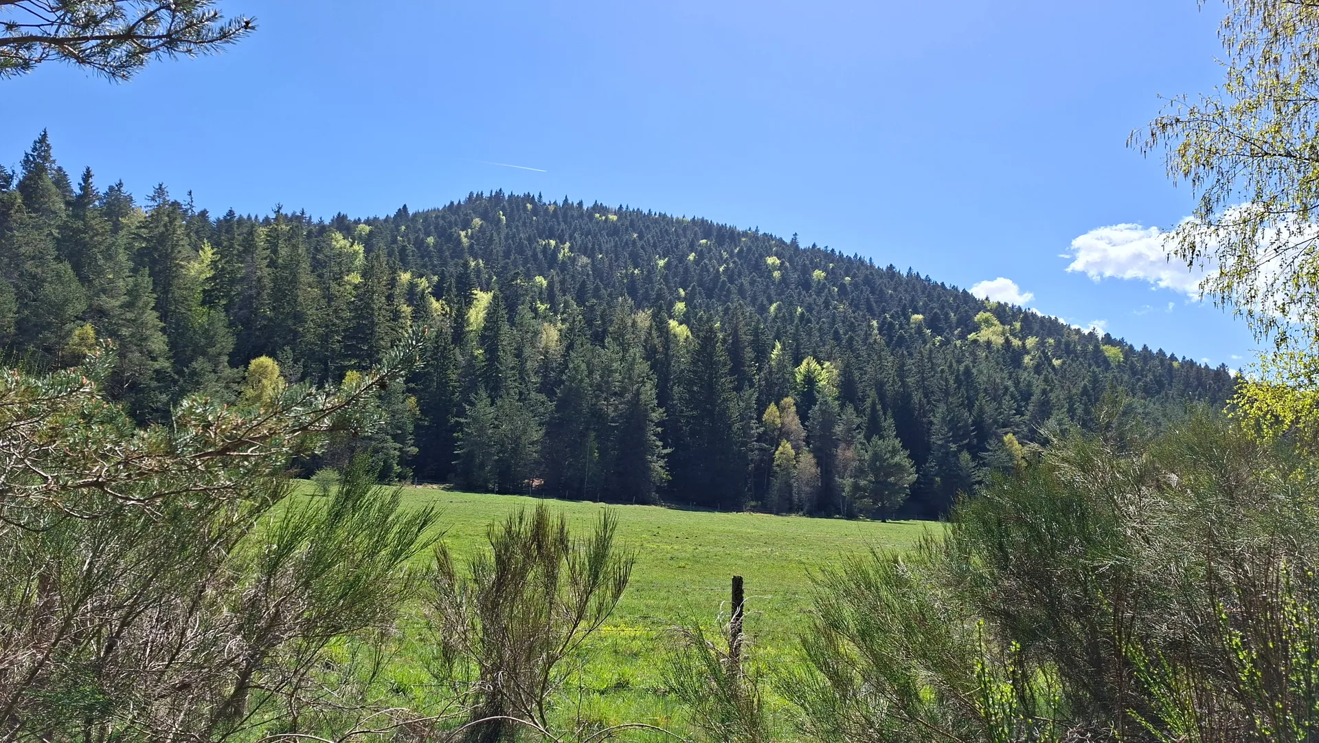 Lac de la Cassière à Aydat — À 2,6 km du lac