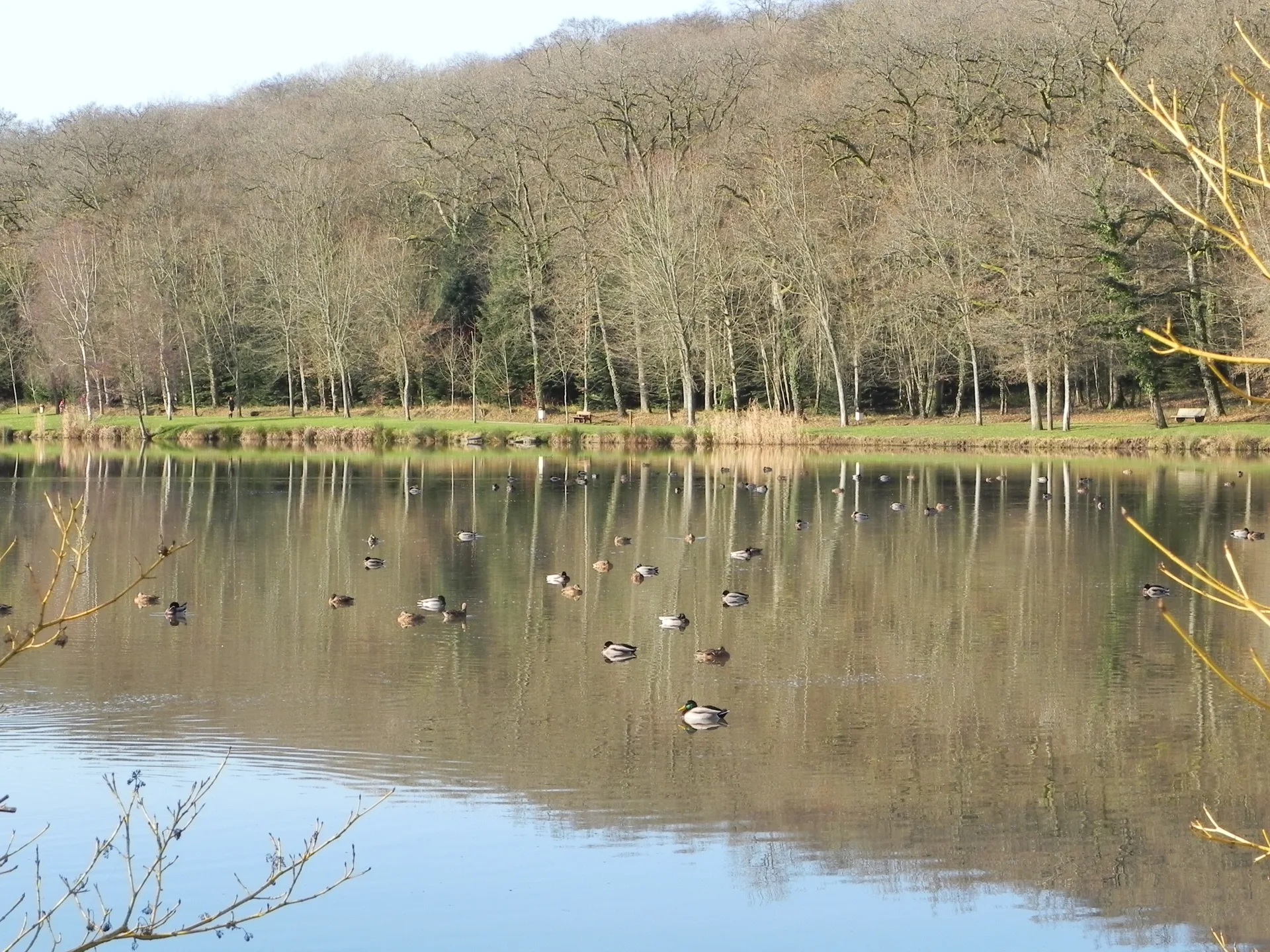 Lac de la Folie à Contrexéville — Sur le lac