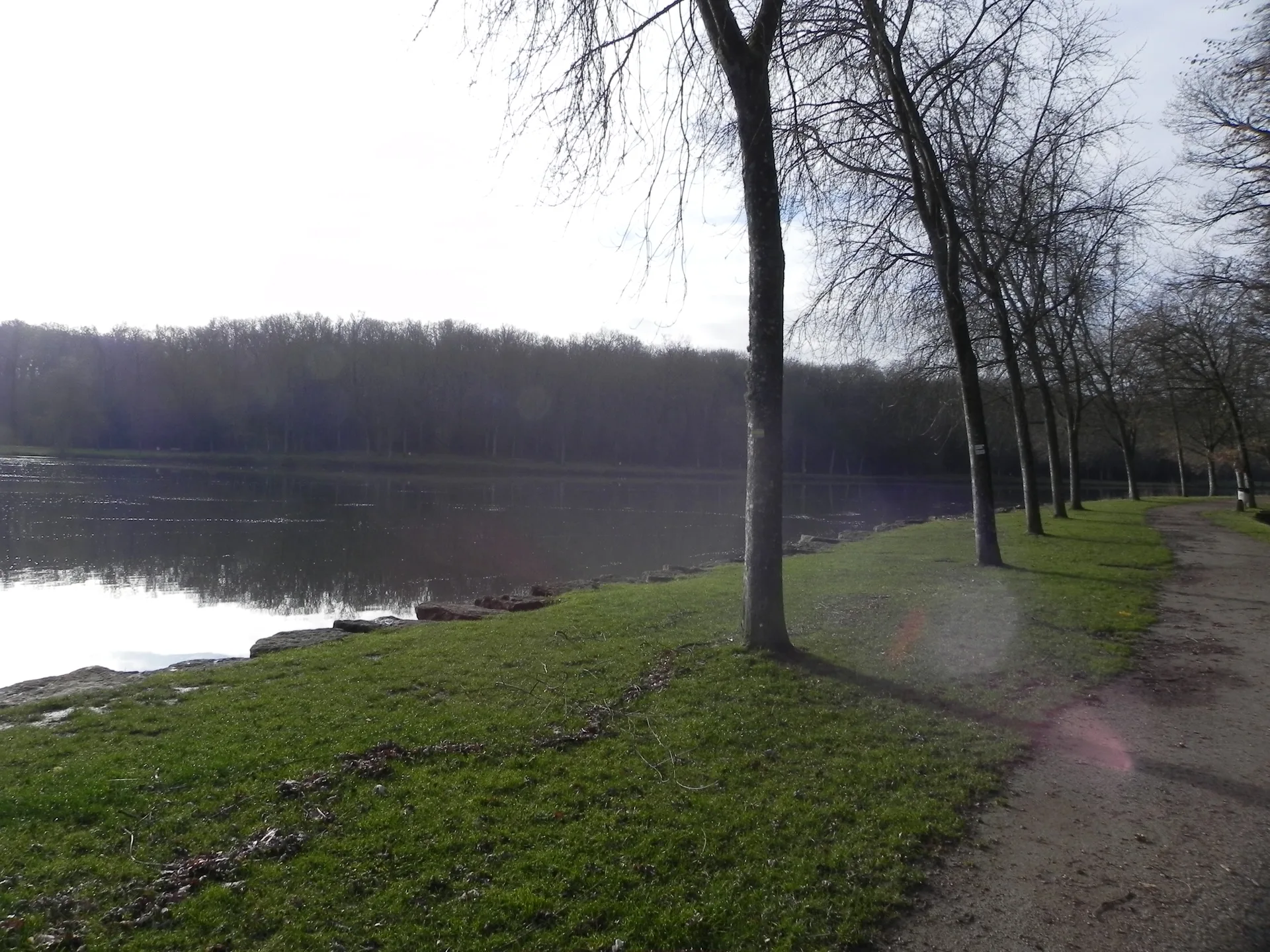 Lac de la Folie à Contrexéville — Sur le lac
