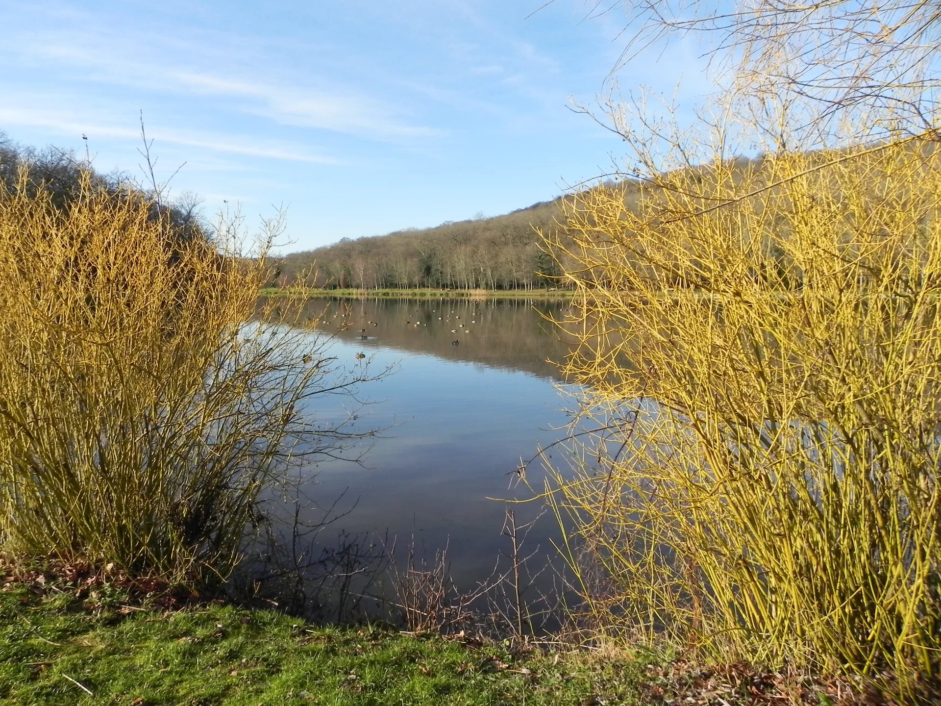 Lac de la Folie à Contrexéville — Sur le lac