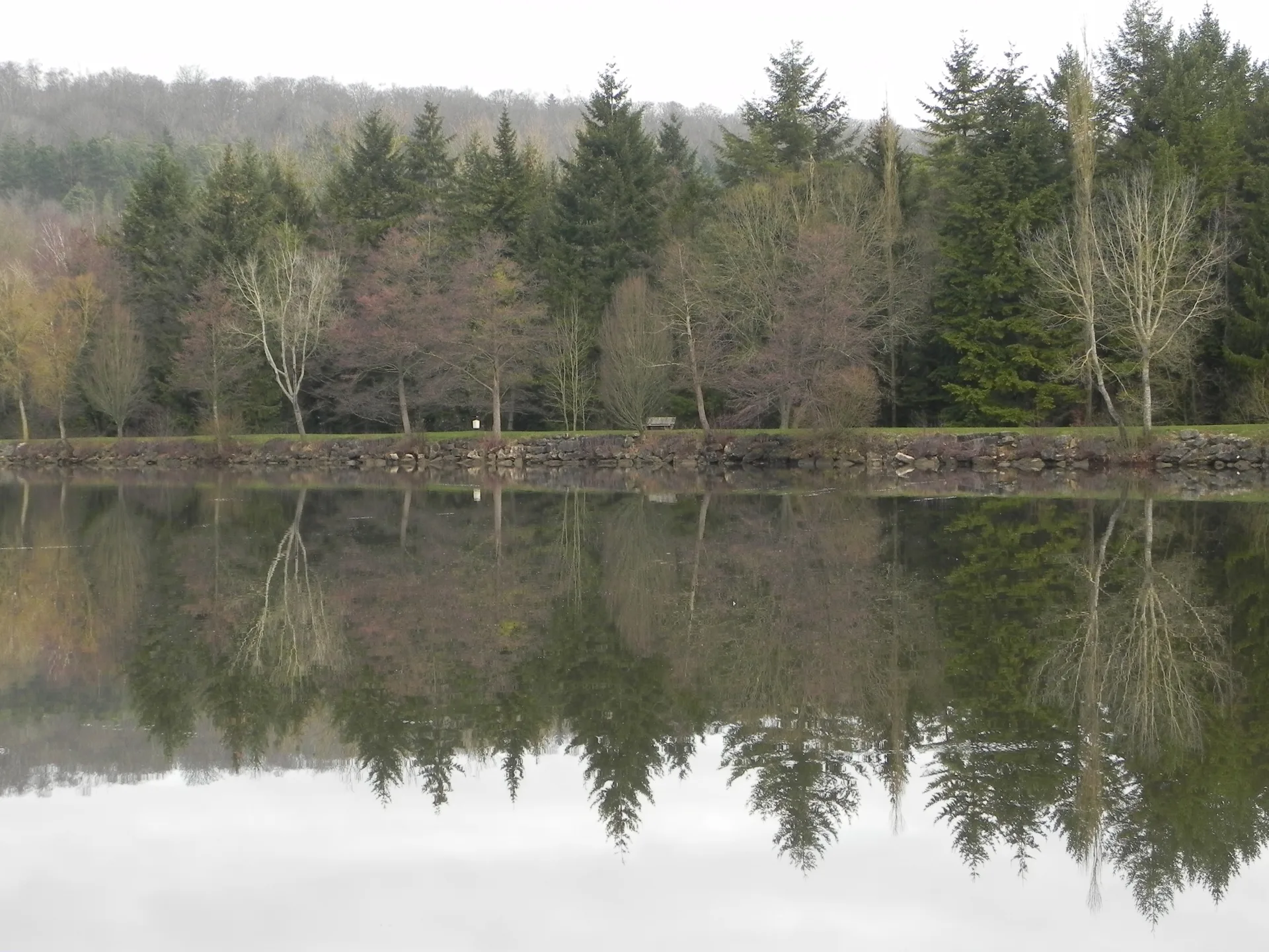 Lac de la Folie à Contrexéville — Sur le lac