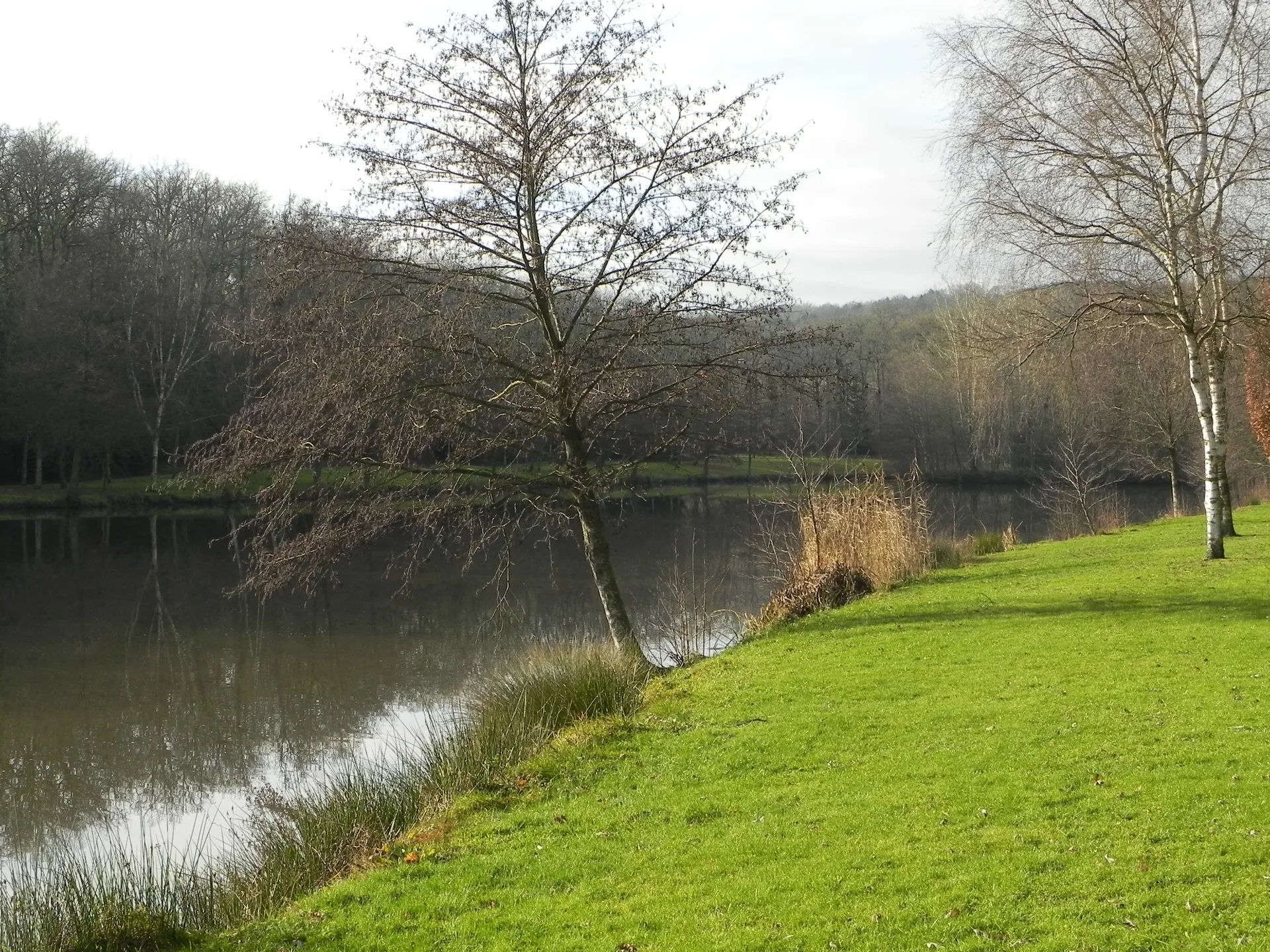 Lac de la Folie à Contrexéville — À 256 m du lac